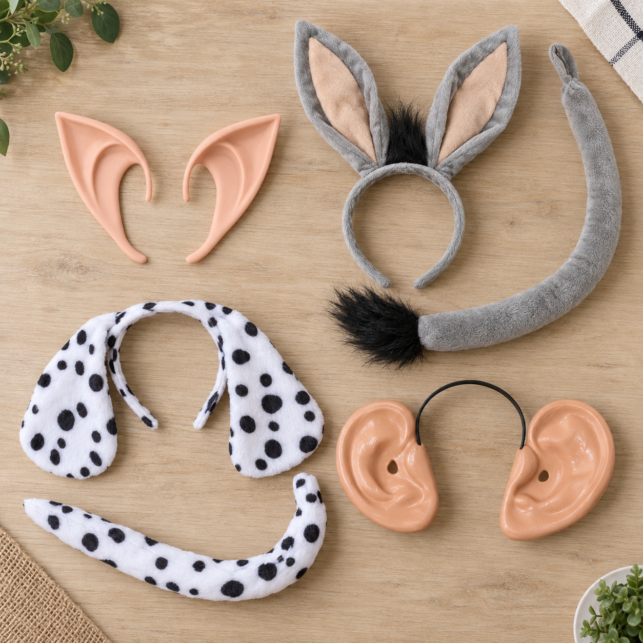 Ears