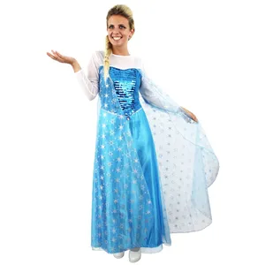 Adult Ladies Snow Princess Fancy Dress Costume