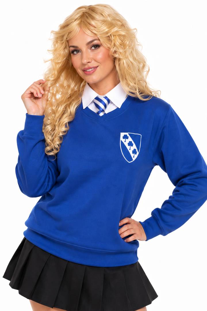 Adult School Costume | Blue Jumper Wig Tie Fancy Dress Set
