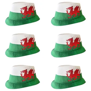 Adults Welsh Trilby Hat | Wales Supporter Fancy Dress Accessory