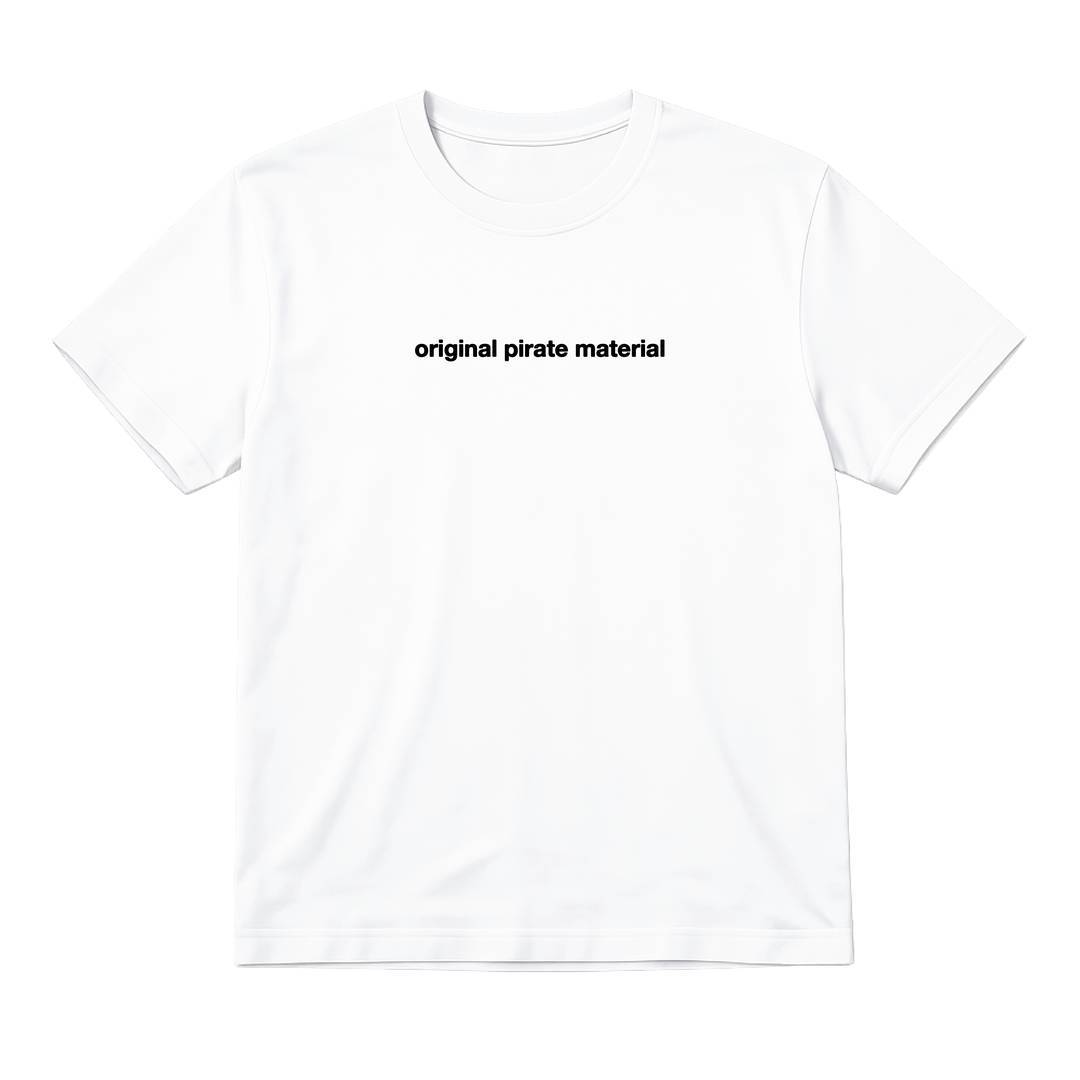 Adults Plain White T-Shirt | Unisex Cotton Crew Neck Tee | Music Concert Festival Everyday Top