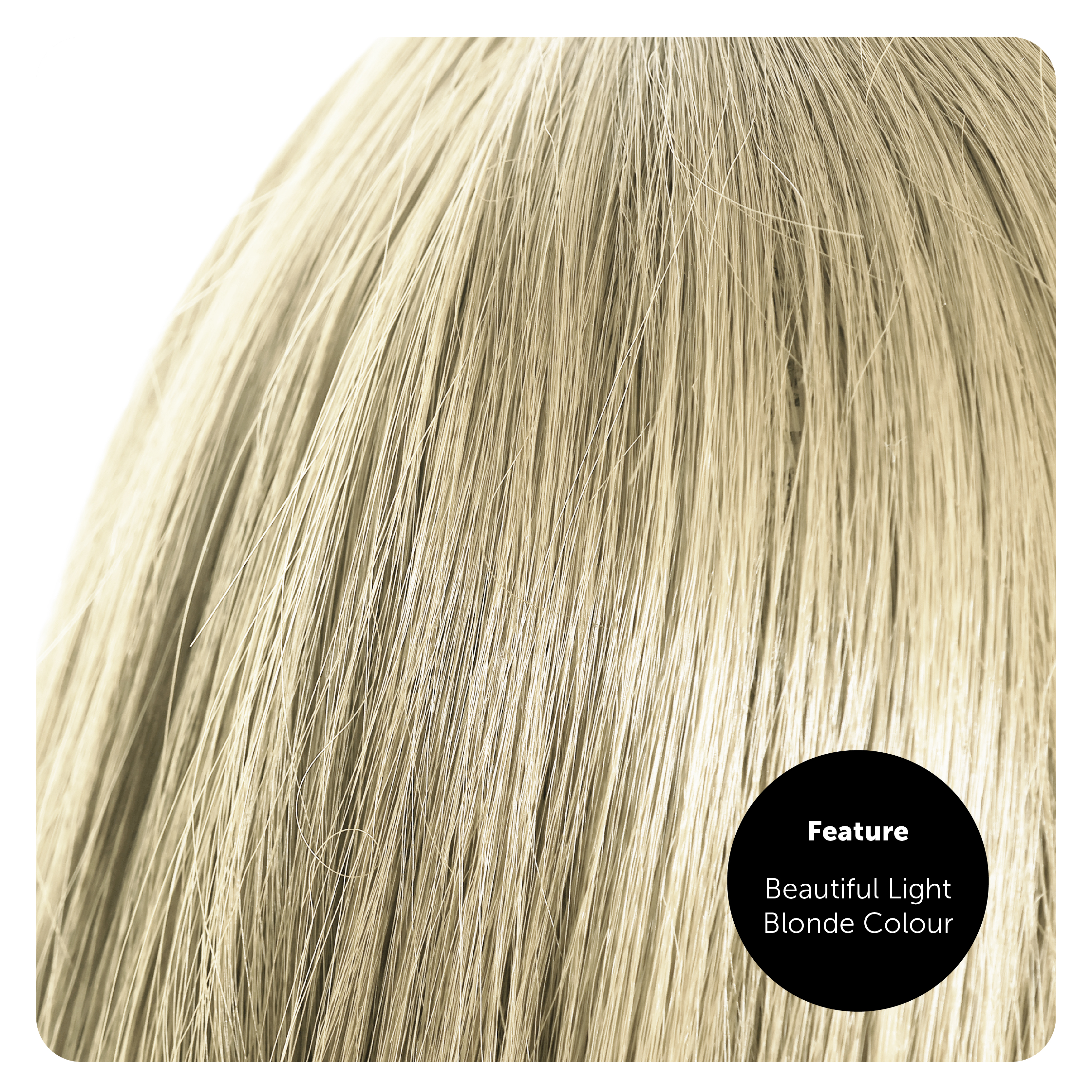 BARBIE-FRENCH-2289-4