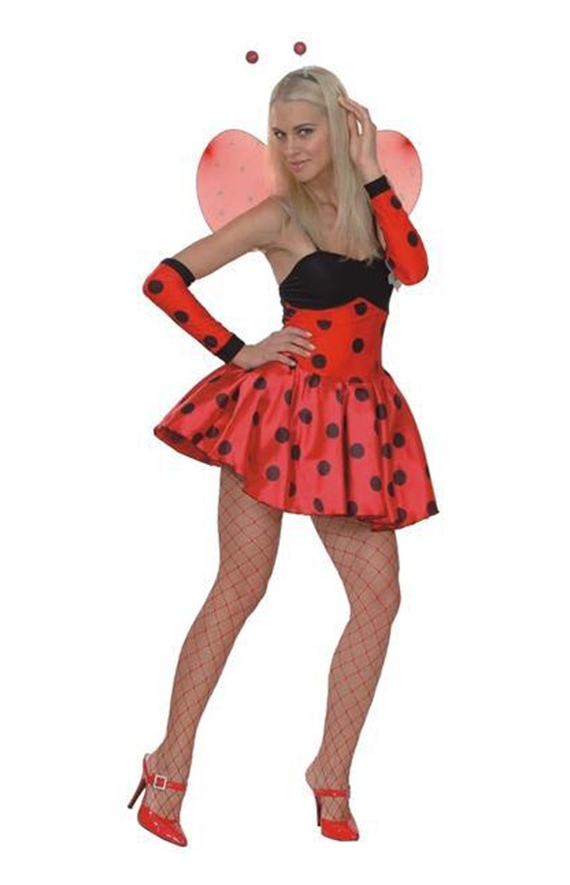 Adults Ladybug Costume