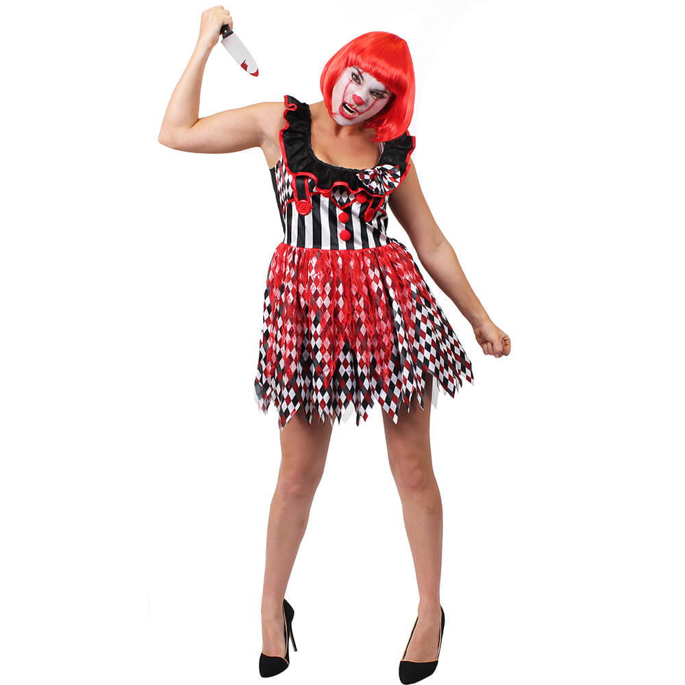 Ladies Clown Costume