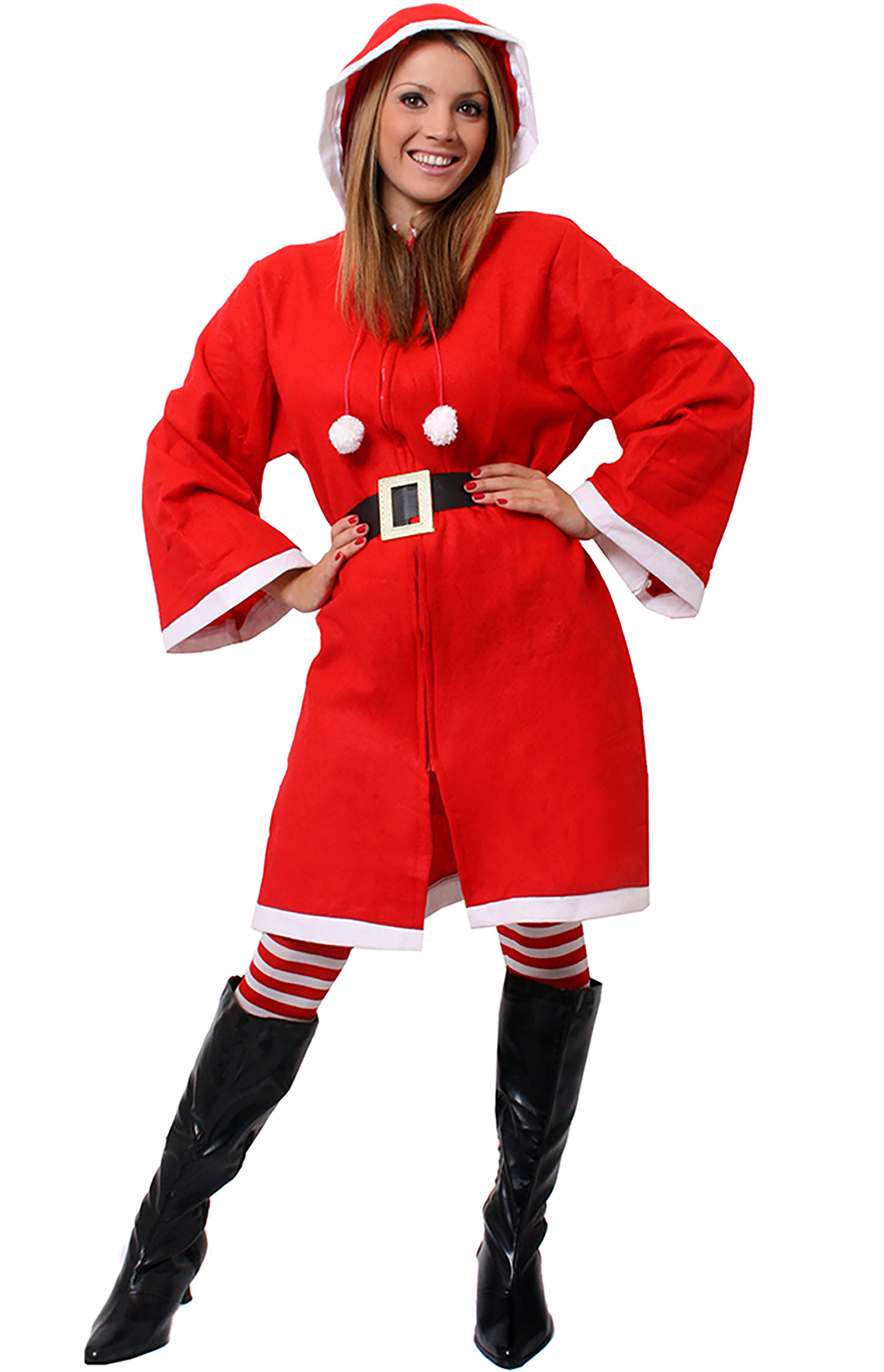 Ladies Miss Claus Christmas Costume