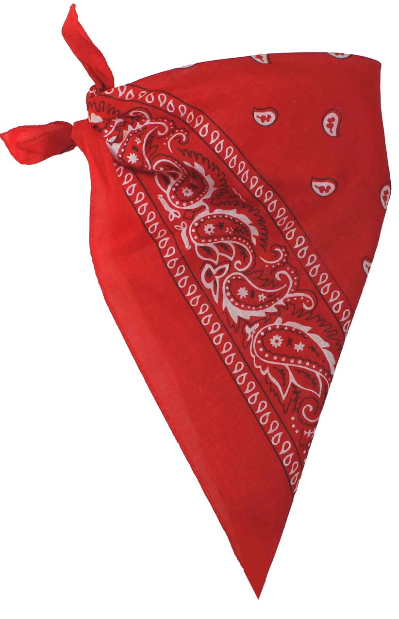 Red Paisley Bandana