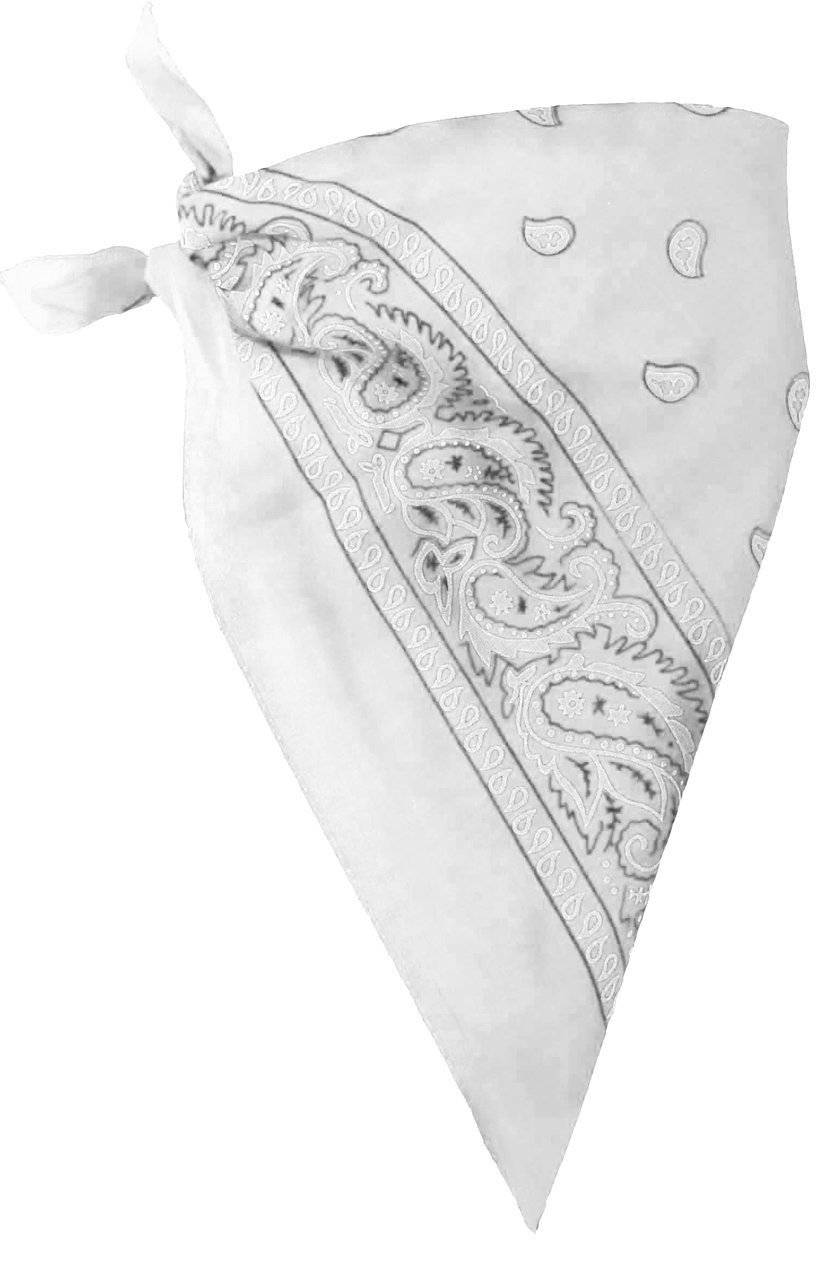 White Paisley Bandana