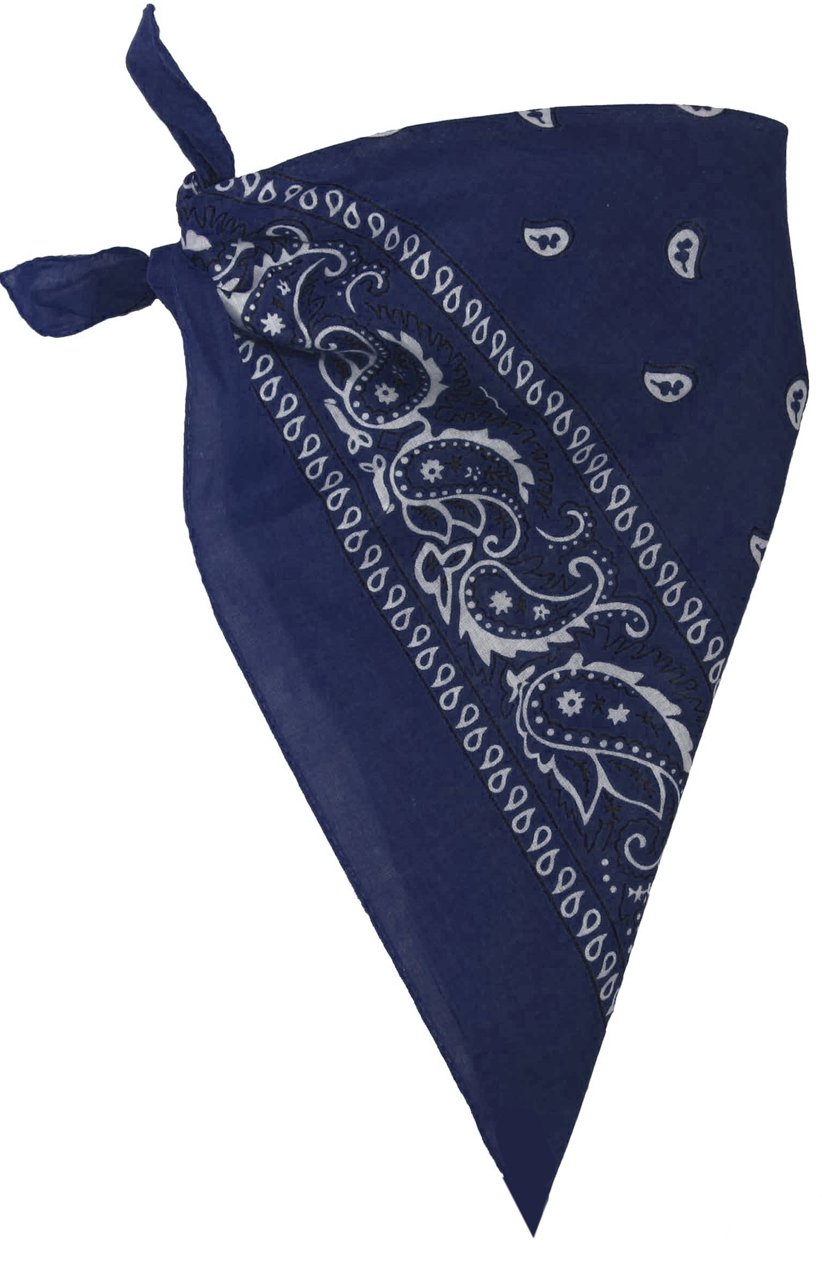Blue Paisley Bandana