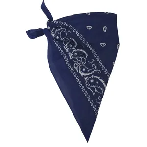 Blue Paisley Bandana