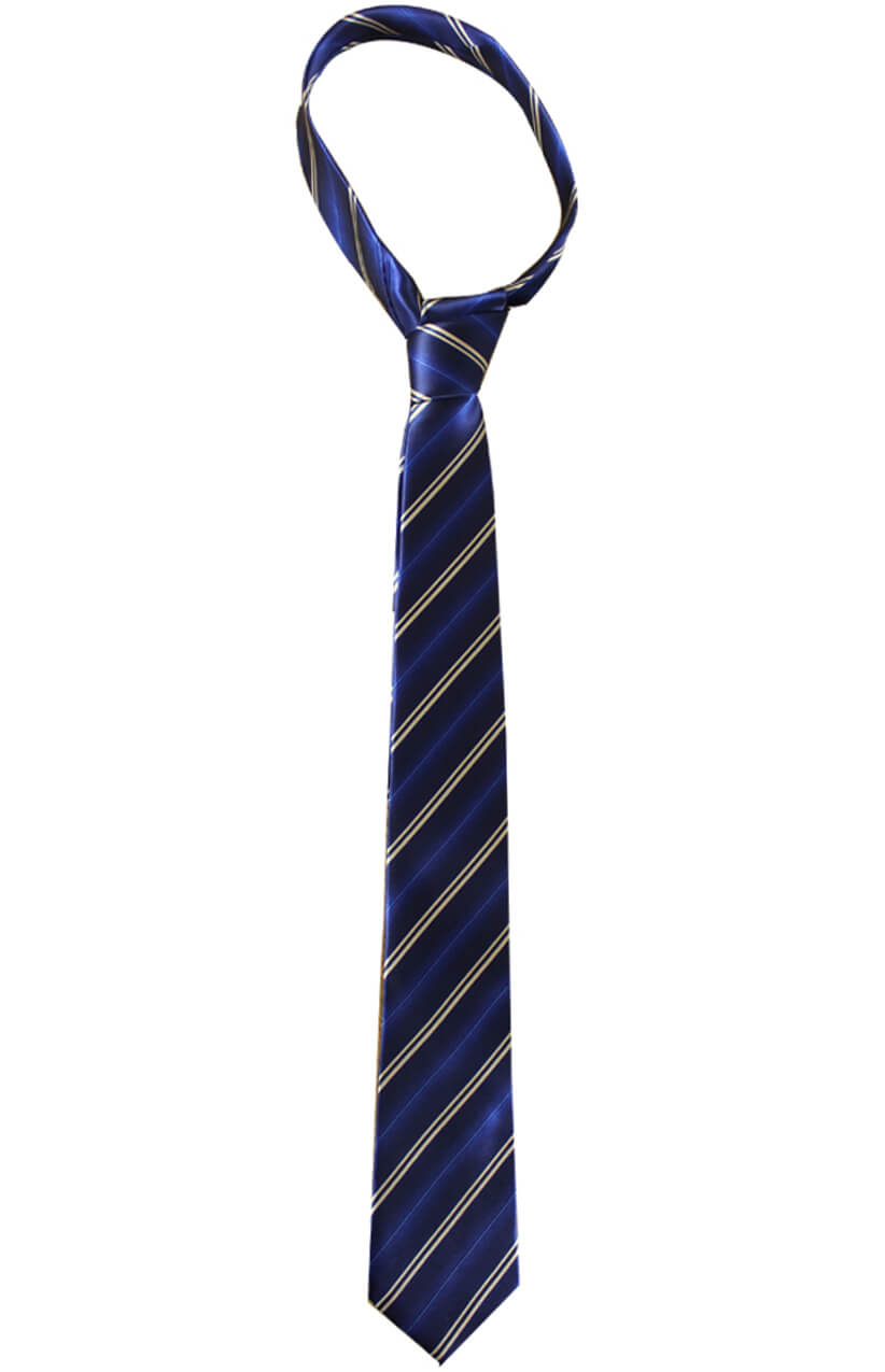 Thin Striped Blue & Beige Wizard School Tie