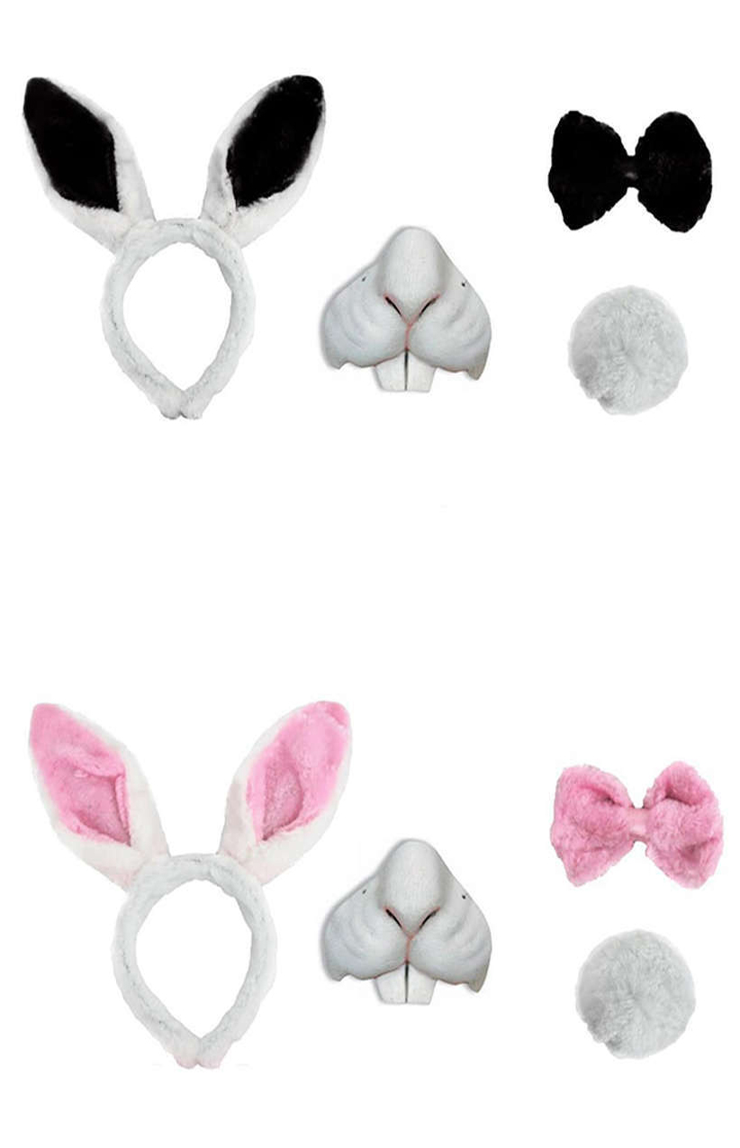Rabbit Set