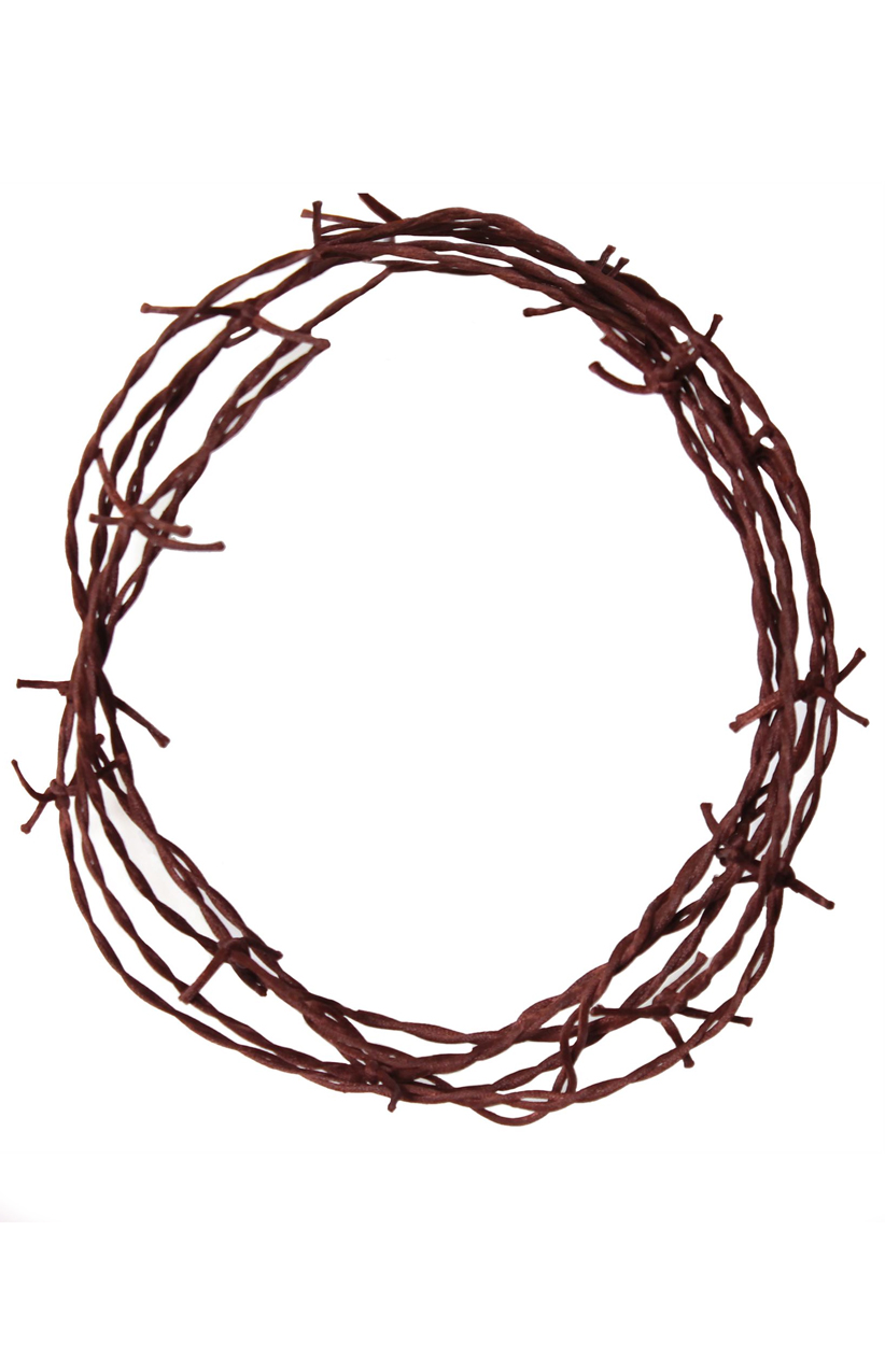 Crown Of Thorns