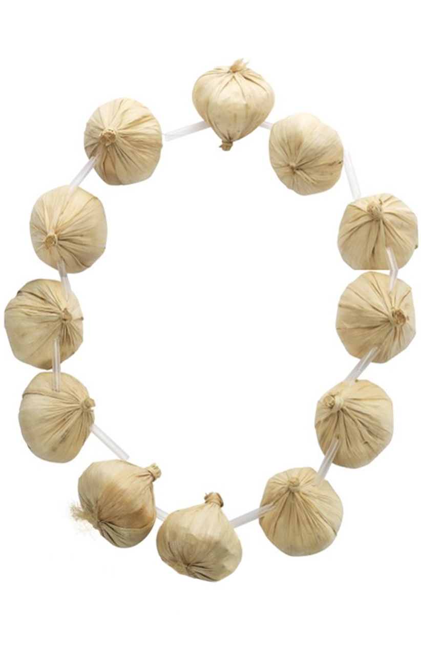 Garlic Garland