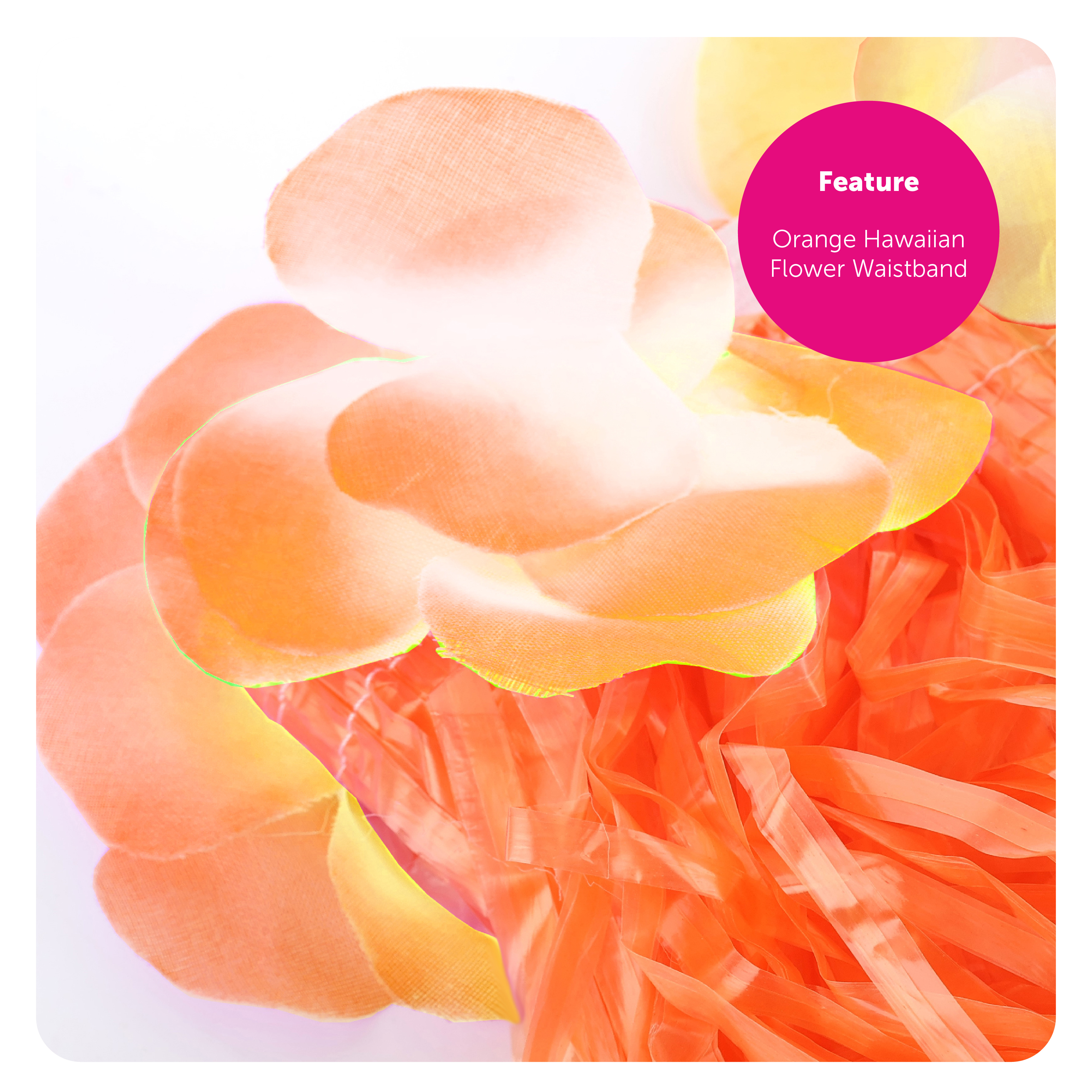 b1e5051e-ff5c-4e91-b86b-4662e4064d53 (2)