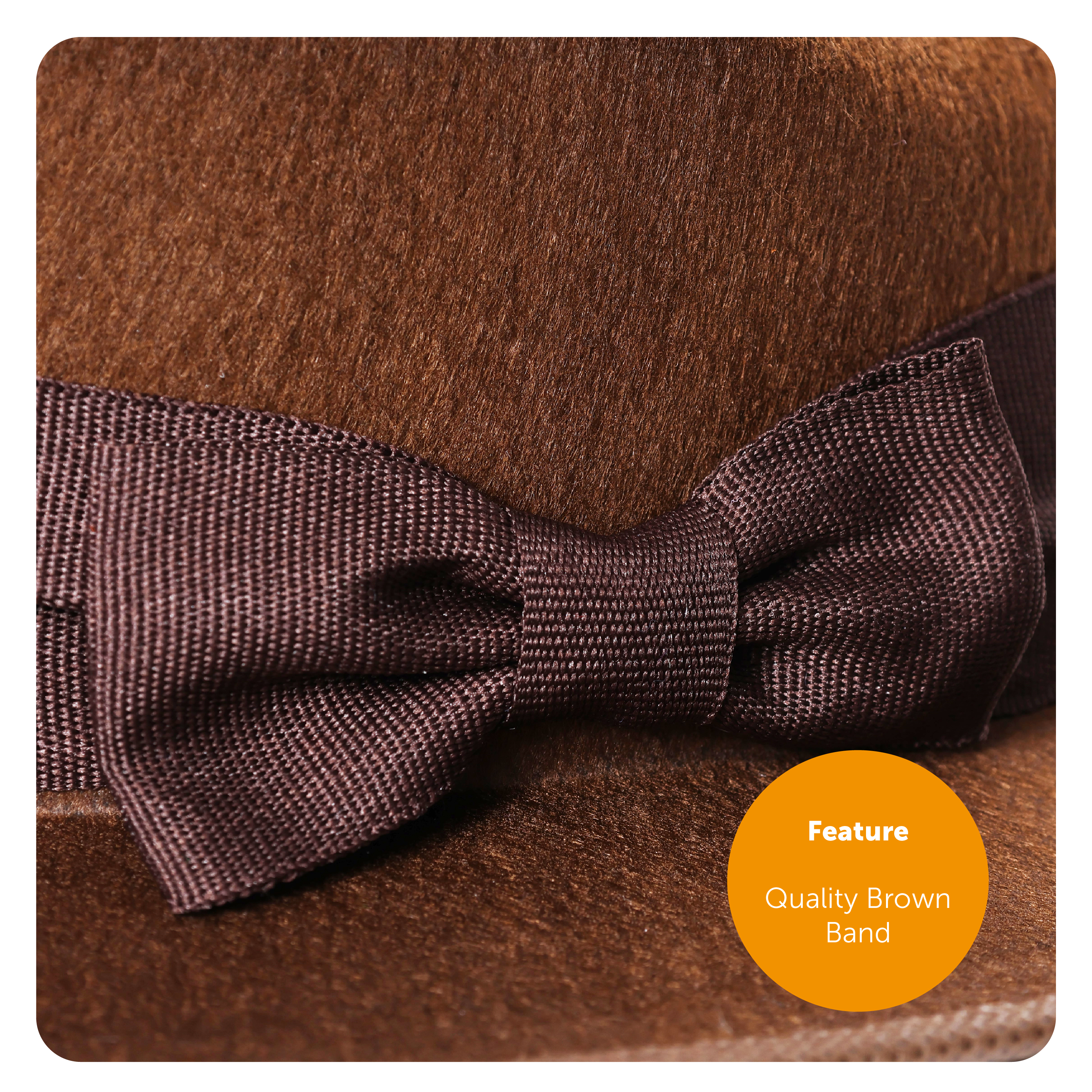 55f72459-b11d-4da7-8091-4f7b4711beed