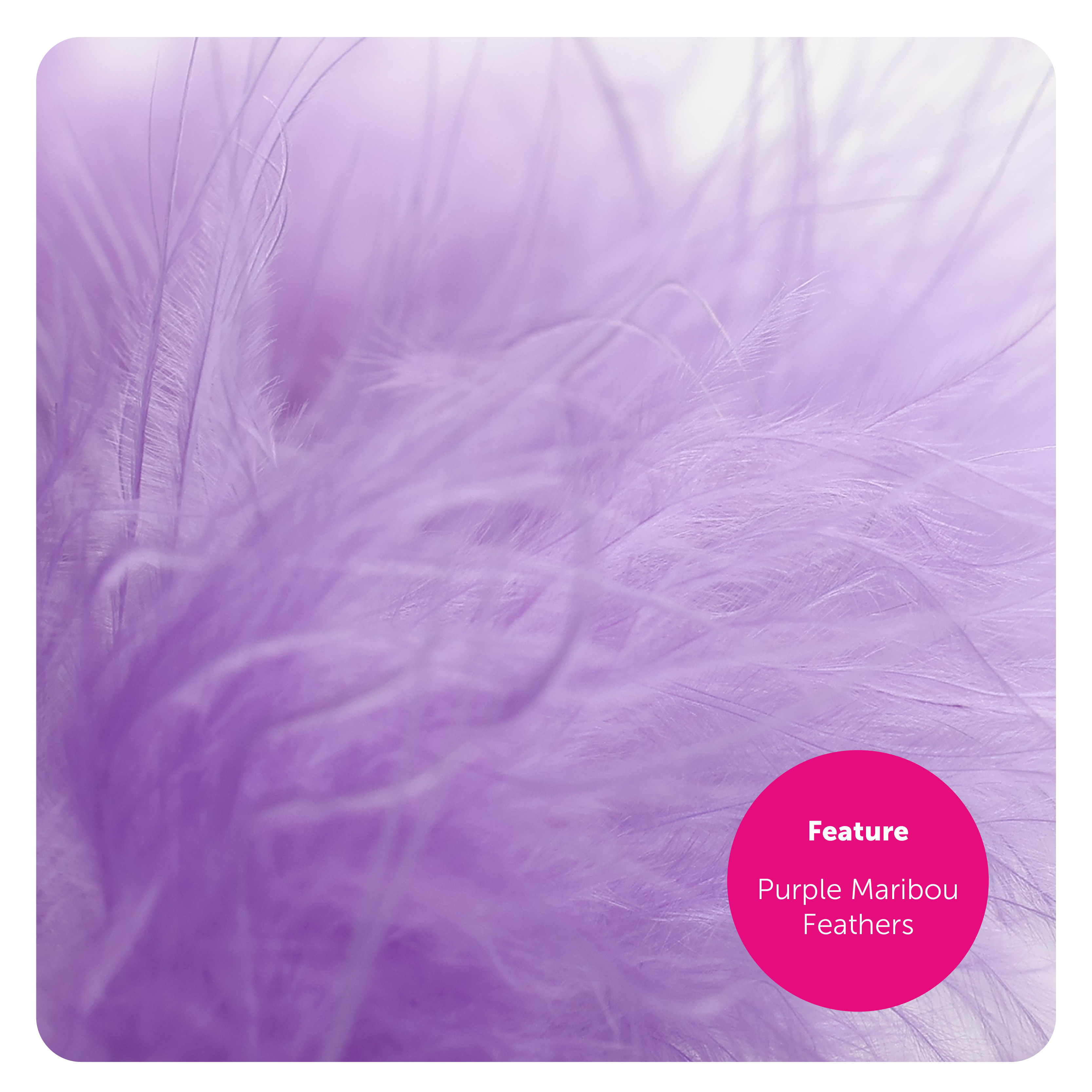 f876bda8-062b-47fd-ab1d-c75a71db3281 (1)