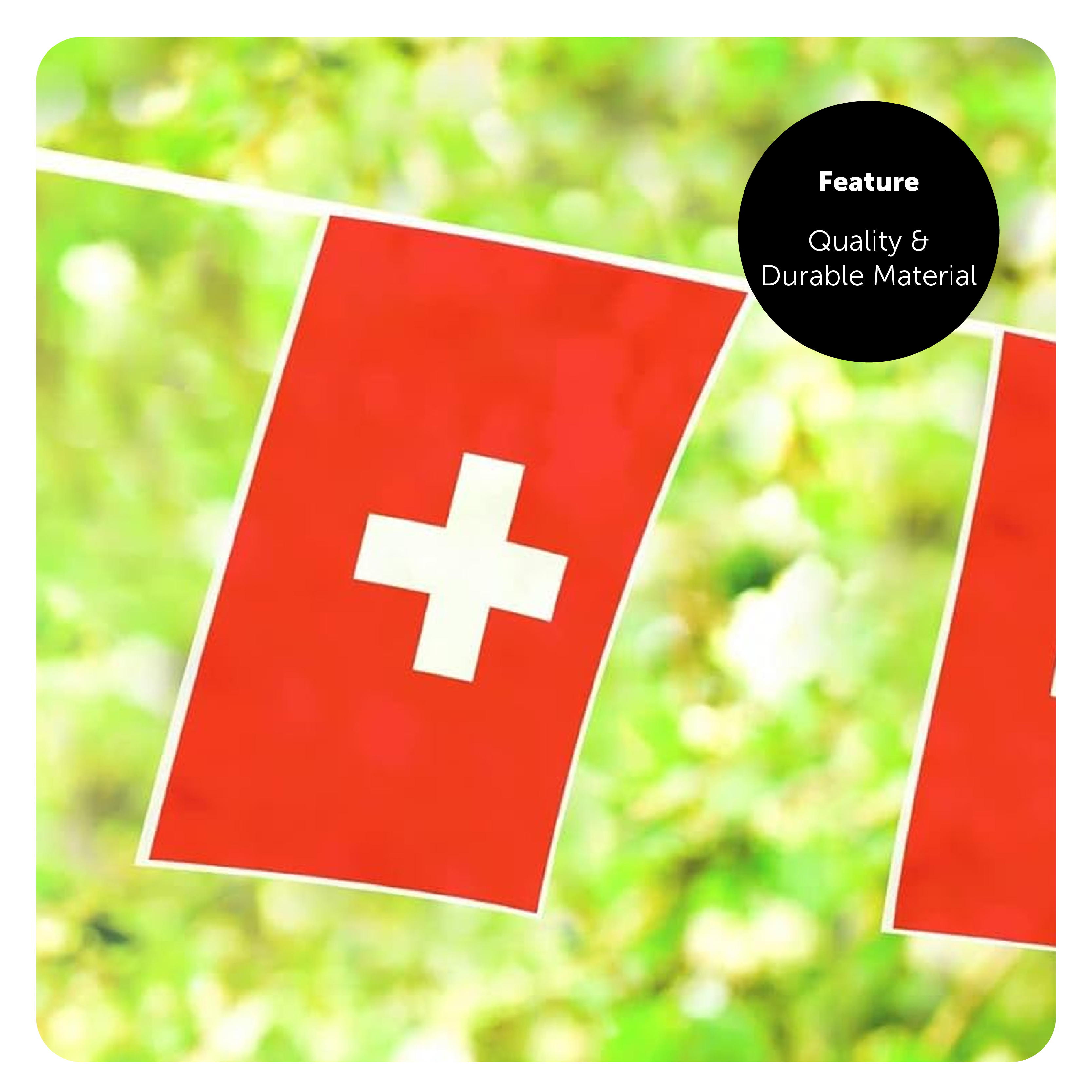 5c4962bb-d71b-43dd-a700-c1fae4d90fb6 (1)