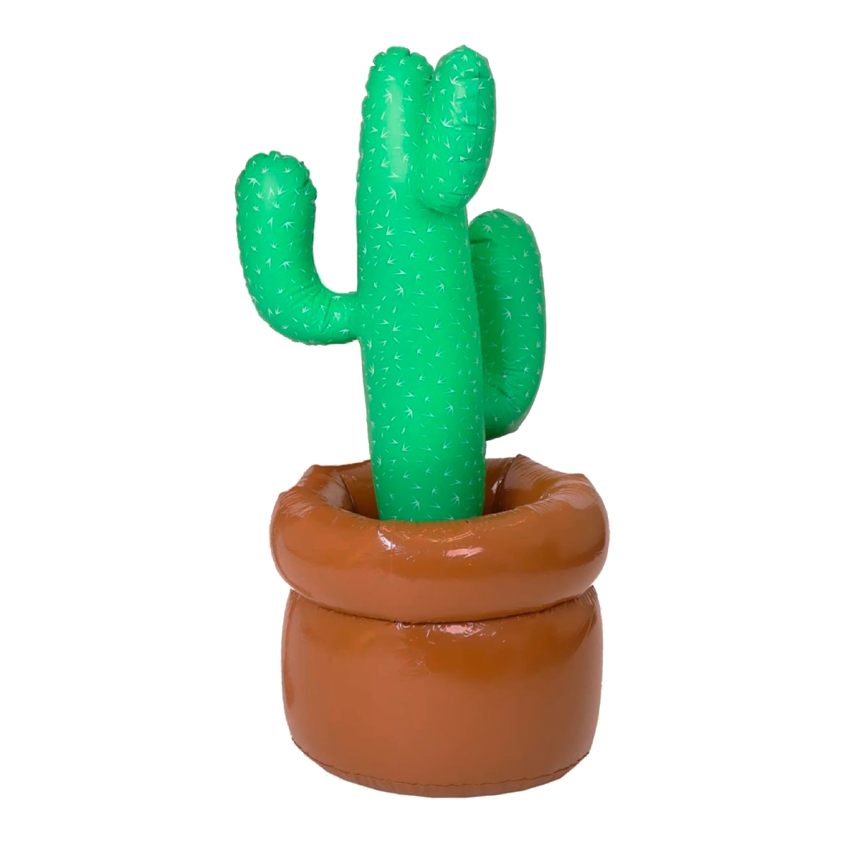 Inflatable Cactus
