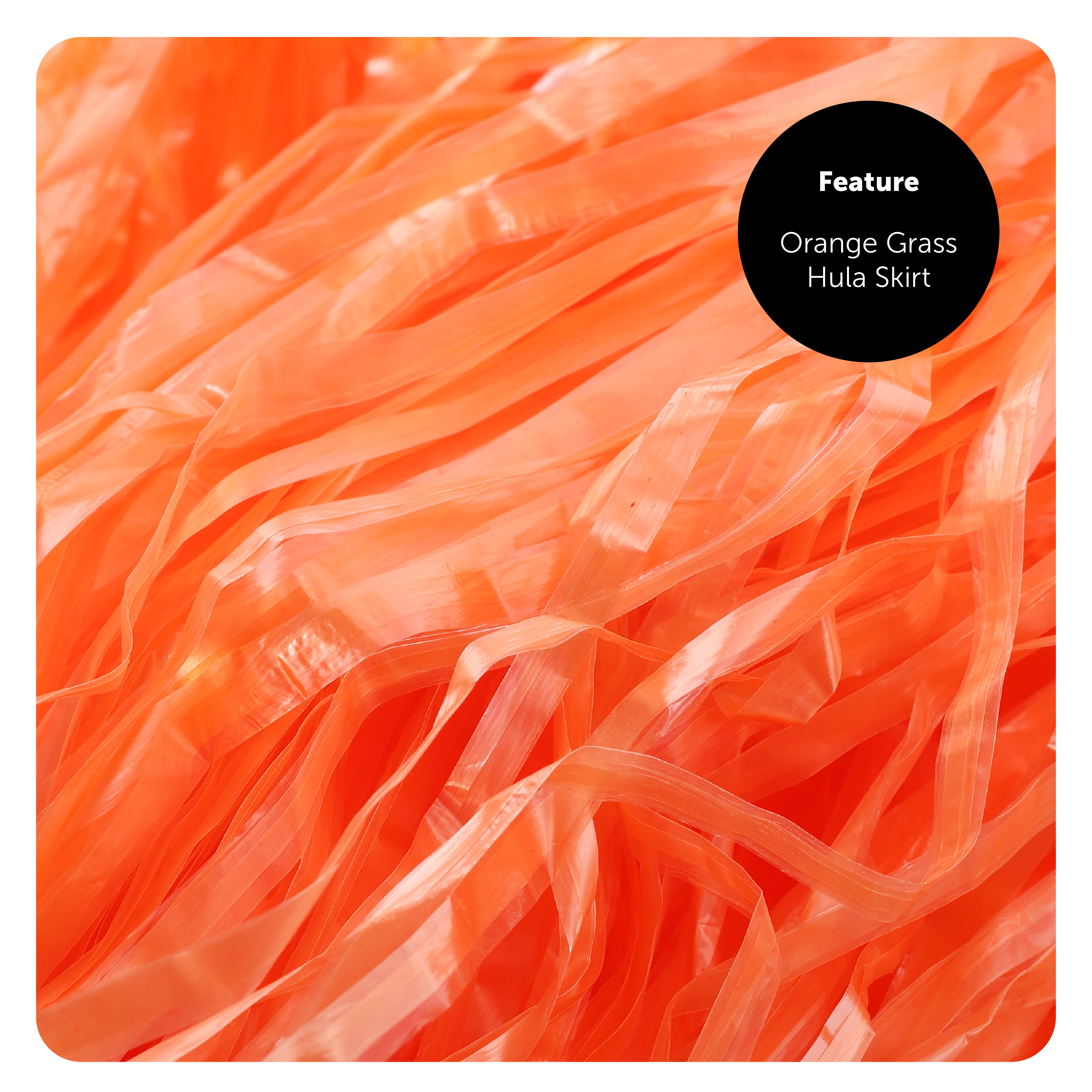 67d60d8d-56d9-4ecc-a3e2-0240fef5c359 (1)