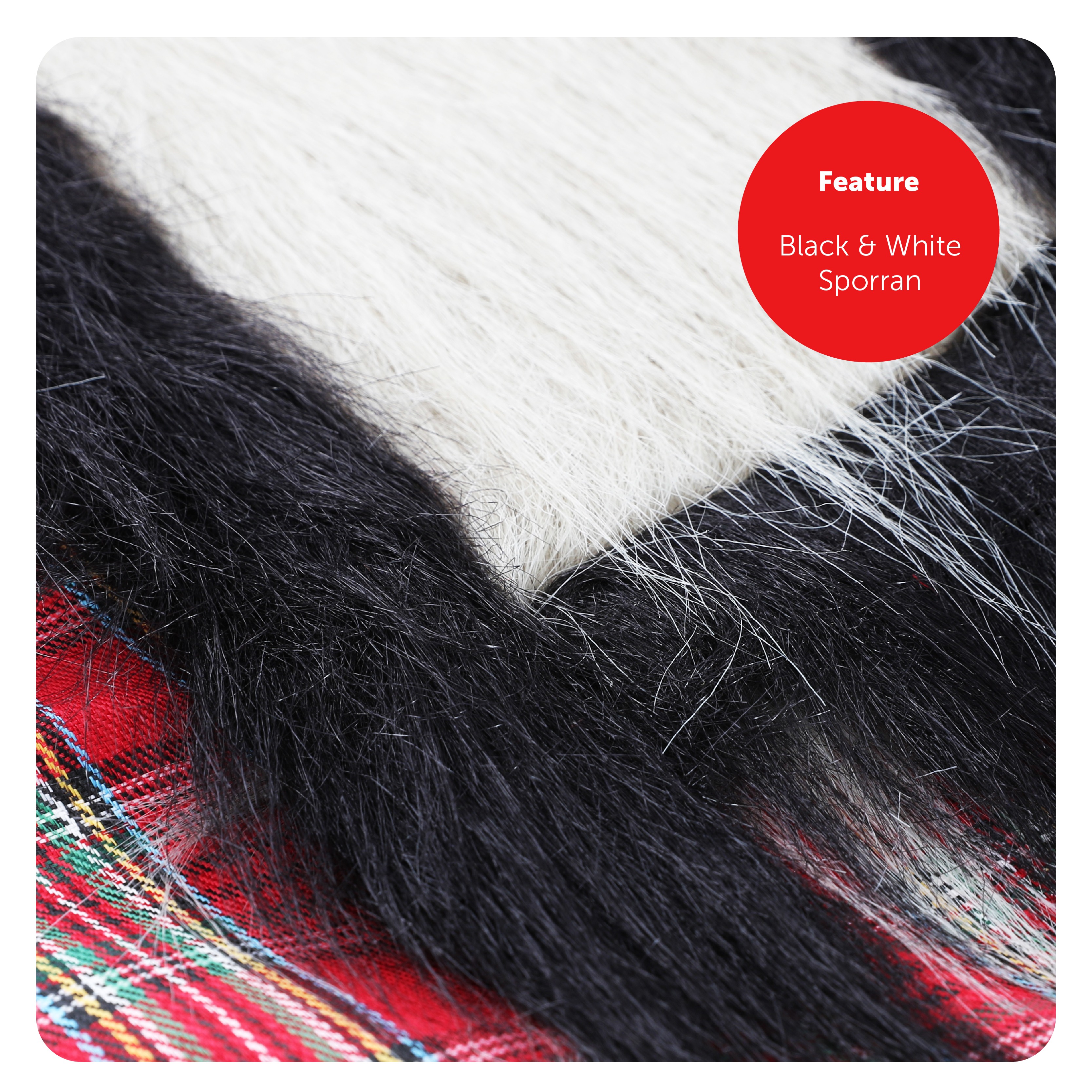 7f01eb8f-6e69-4f39-ac42-b28c6d984efb