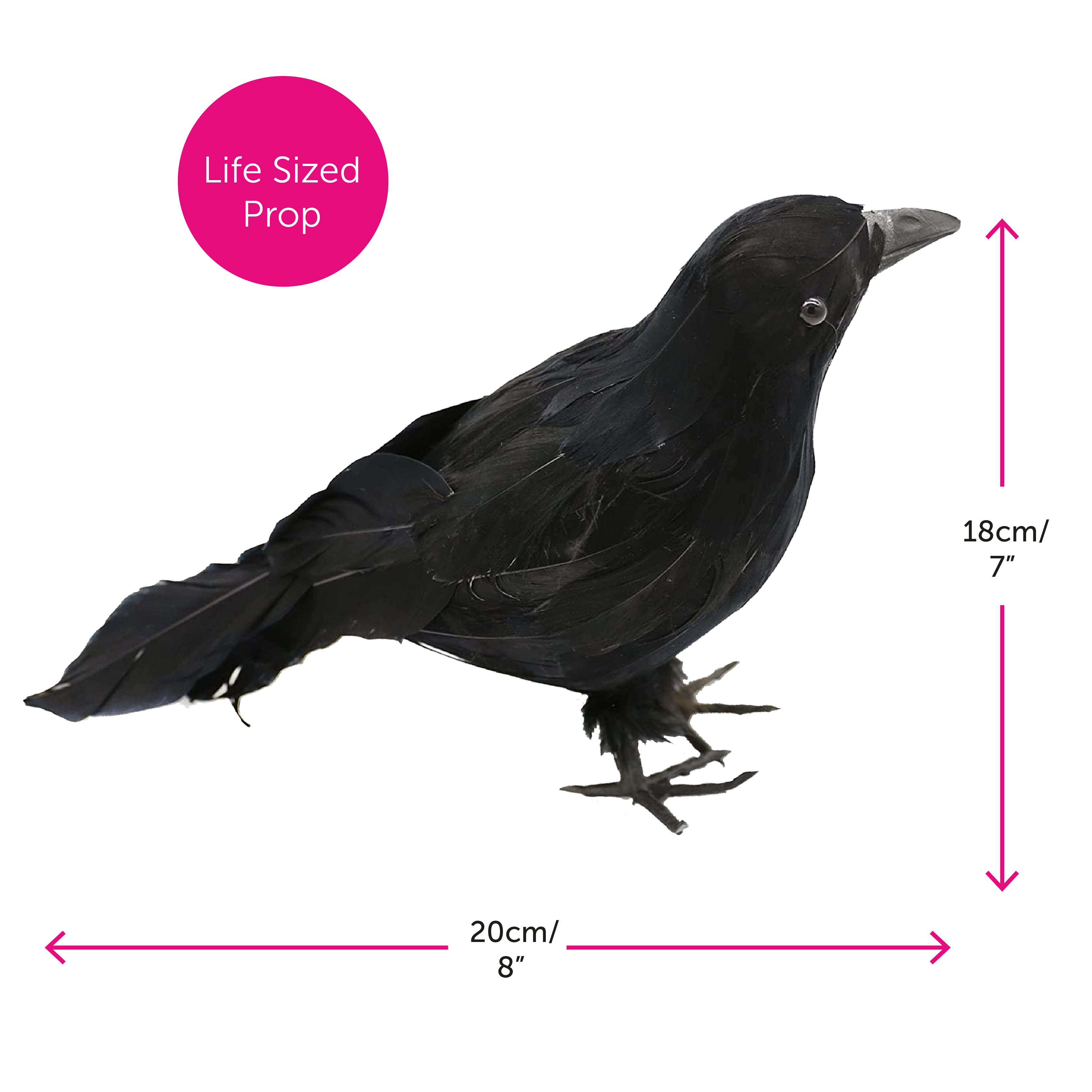 bfd7389a-7385-4f2f-a011-0462c7d60527 (1)