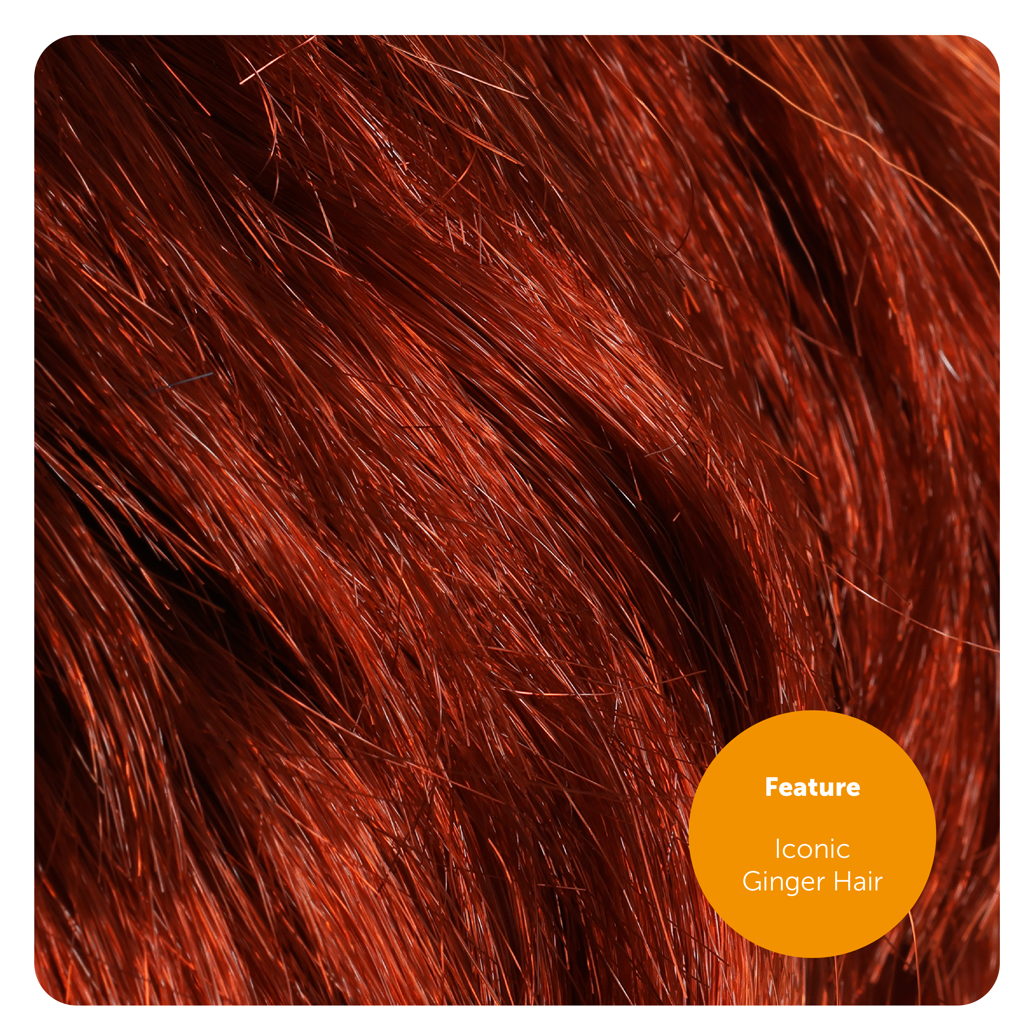 8fd496f9-e2ee-4cb5-89b5-e8eab46ee3c7