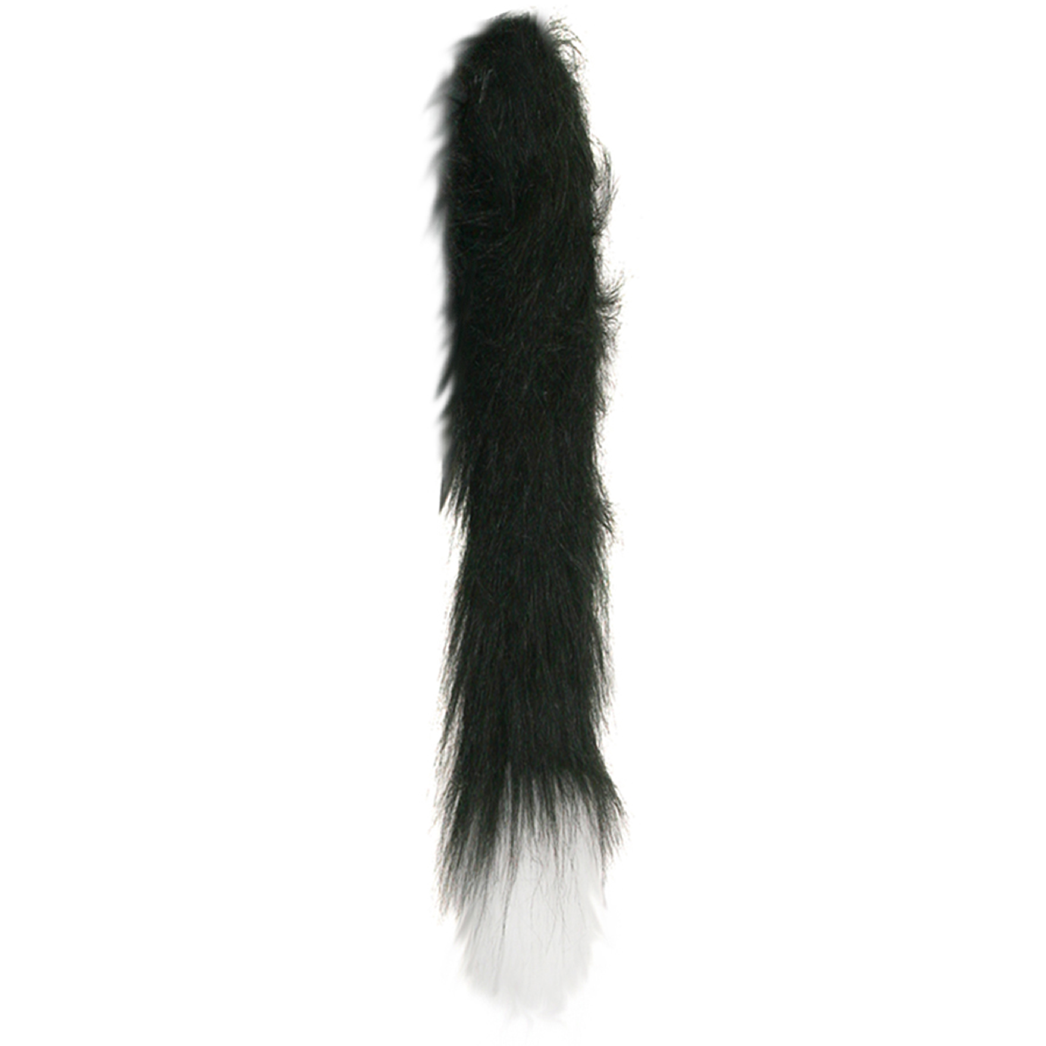 Small Cat Tail