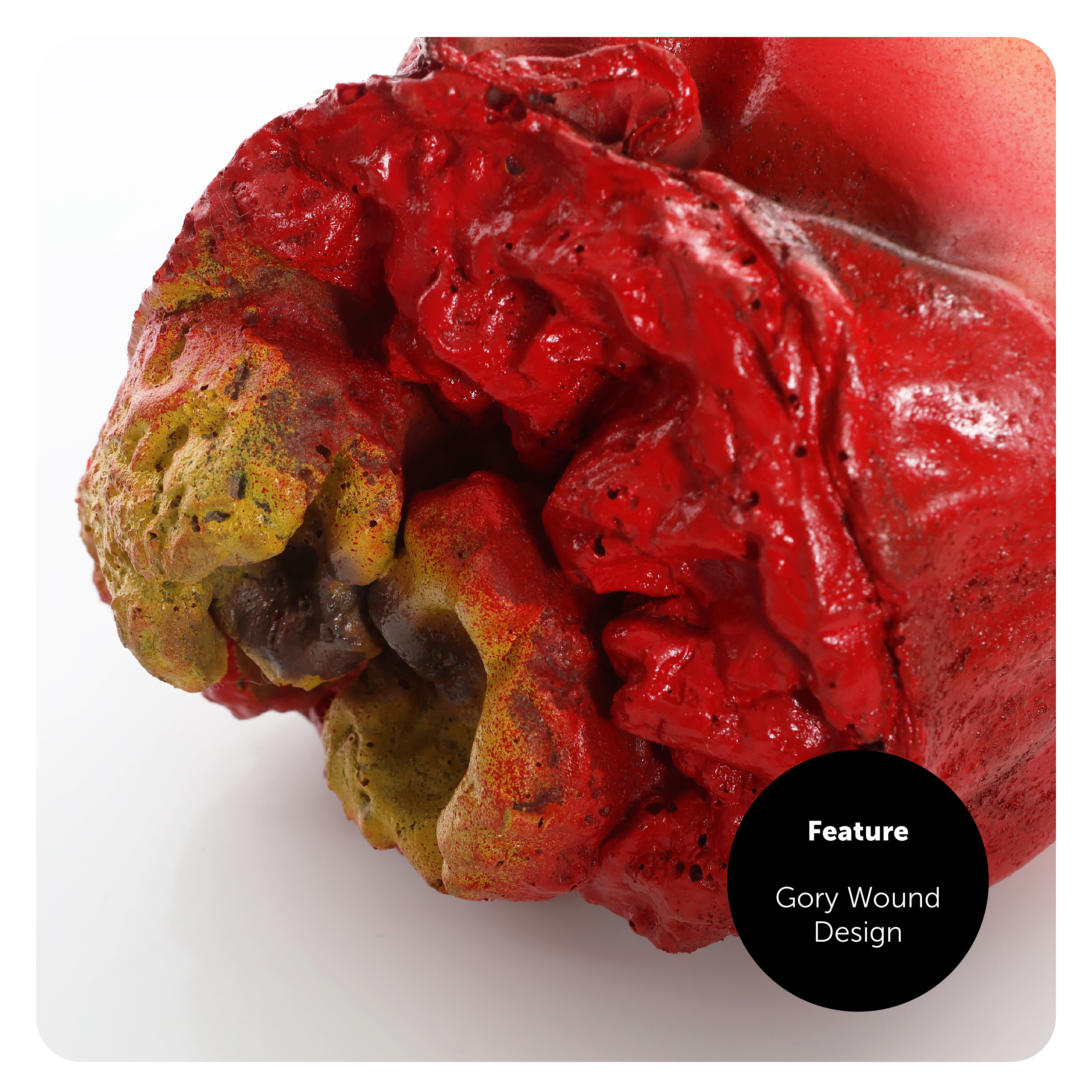 a79ead17-678f-48a9-b8d6-af153b312a76