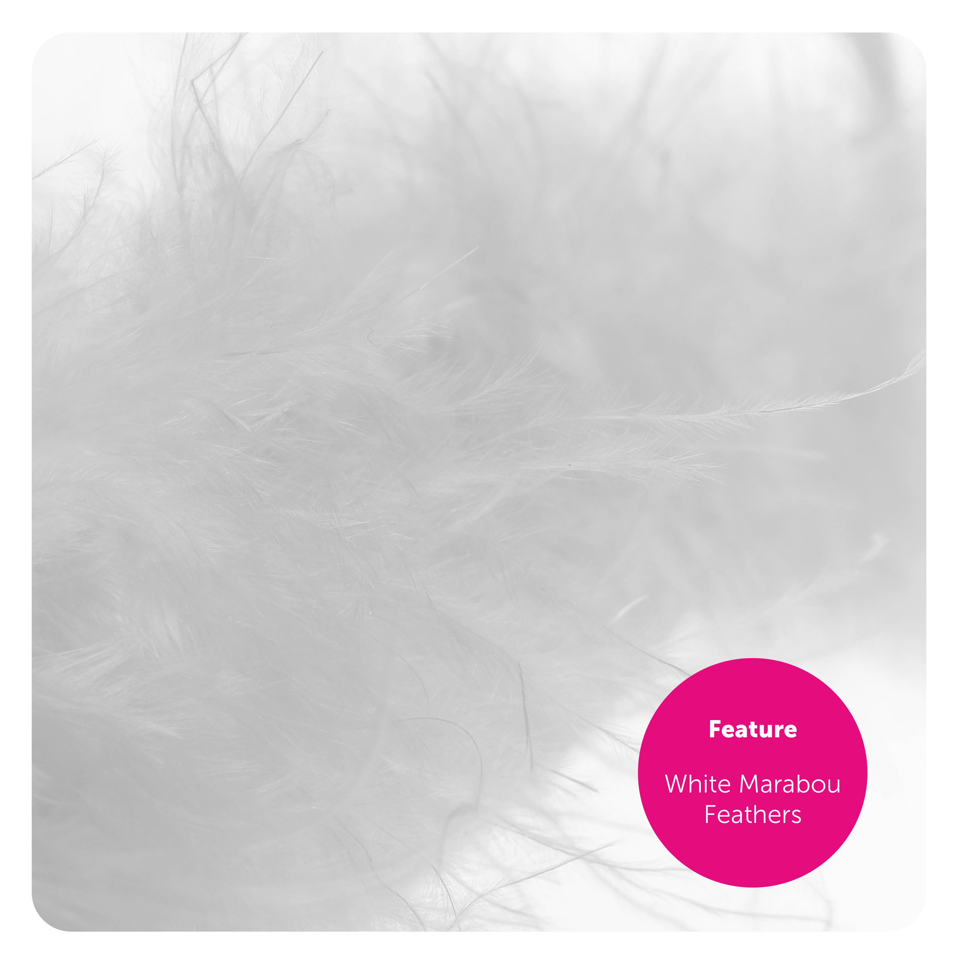 273279d4-c107-470e-9a3f-e923454b7b38