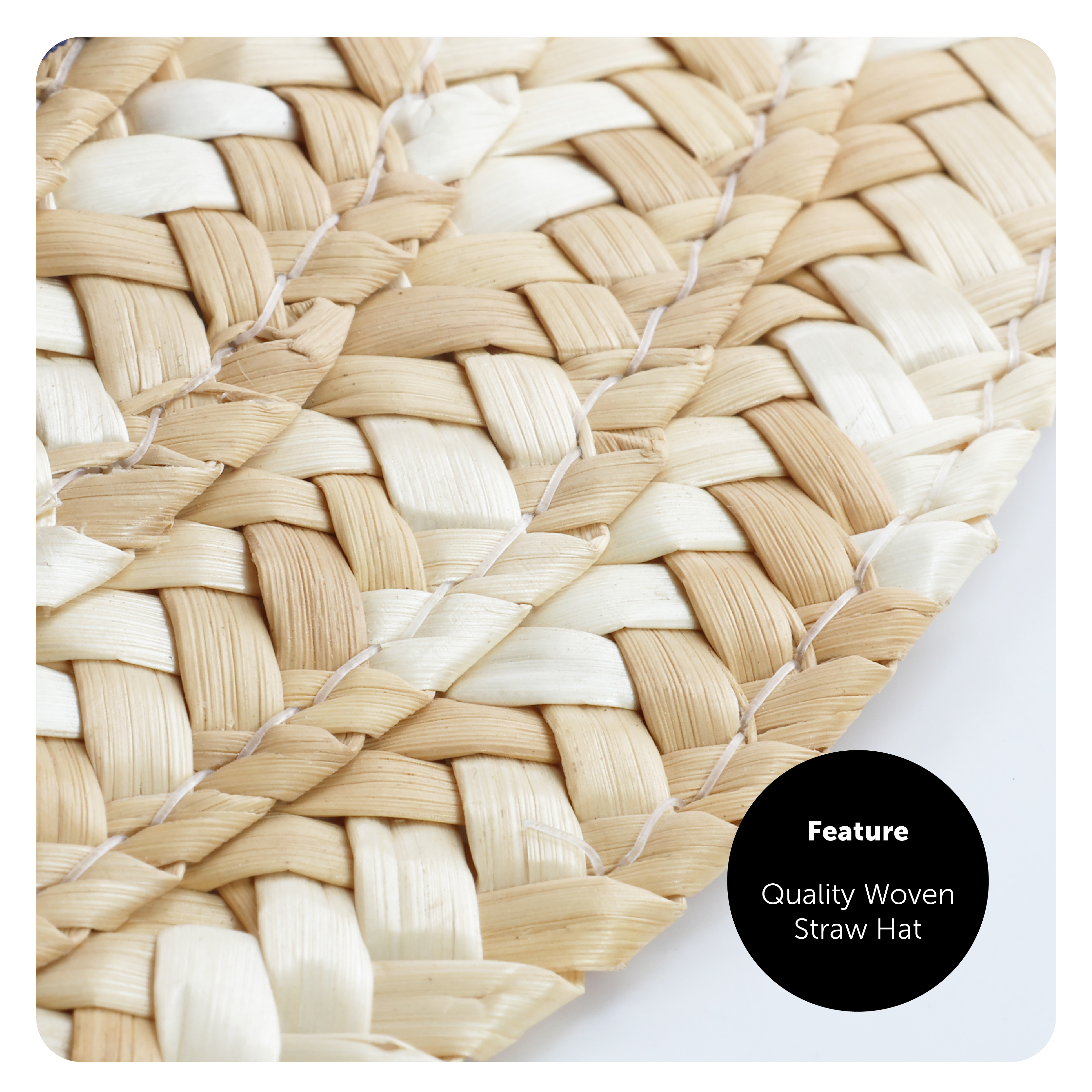 1e38a569-9fca-435e-8744-0626e262aee9