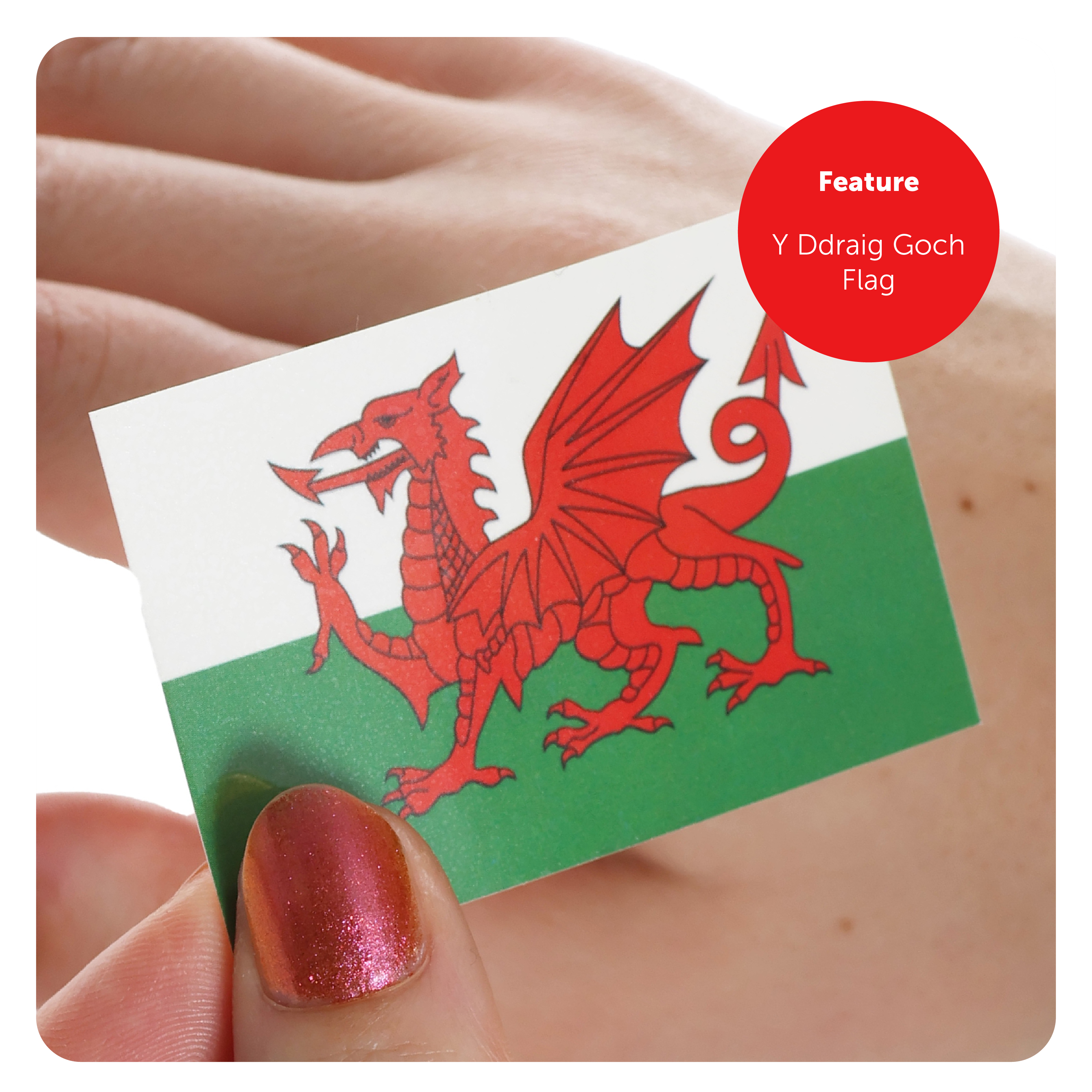 bb7da1b2-40a8-489c-a1c6-e68e9512b6b5 (1)