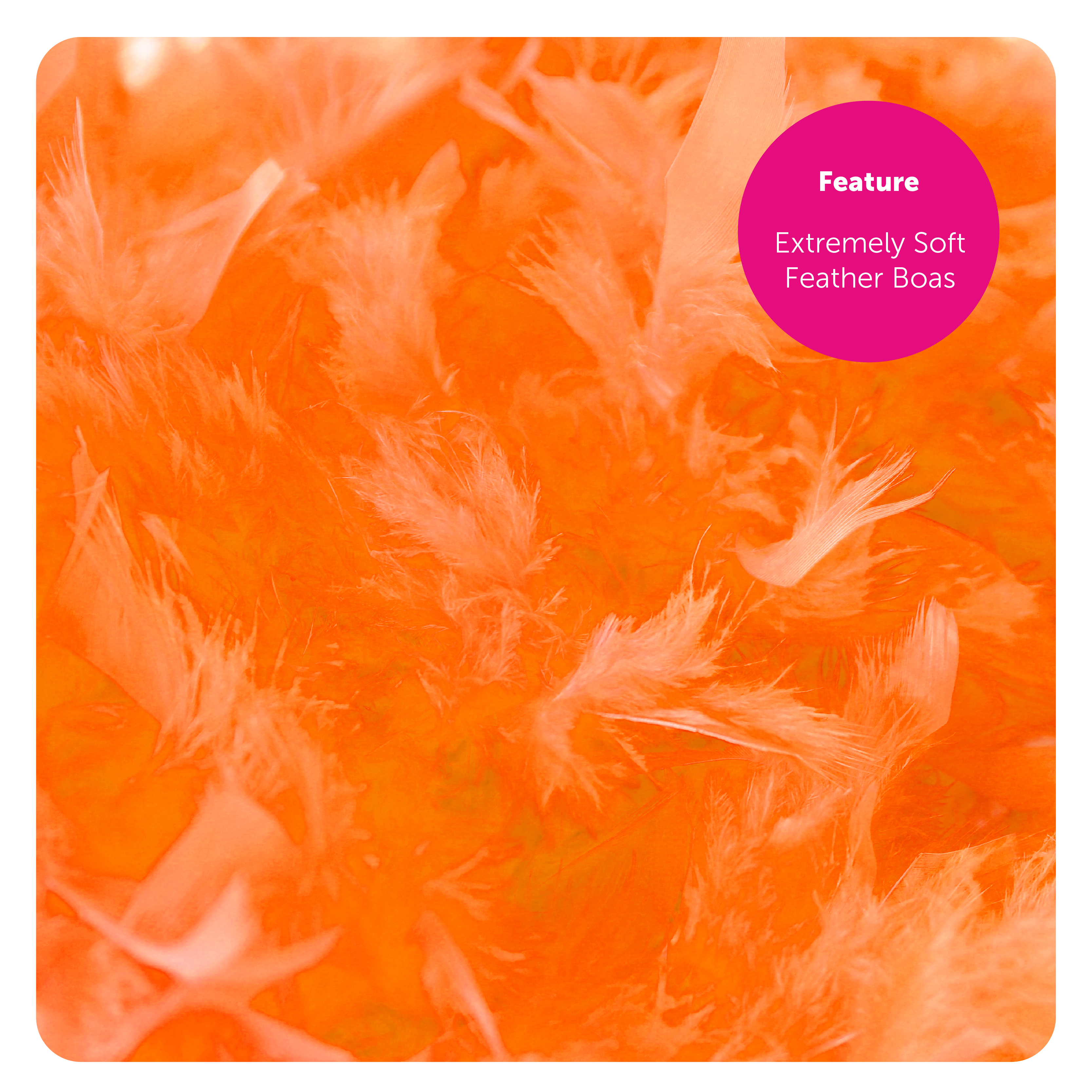 70bcde88-0b58-4170-a7f0-8f63c914c1d7