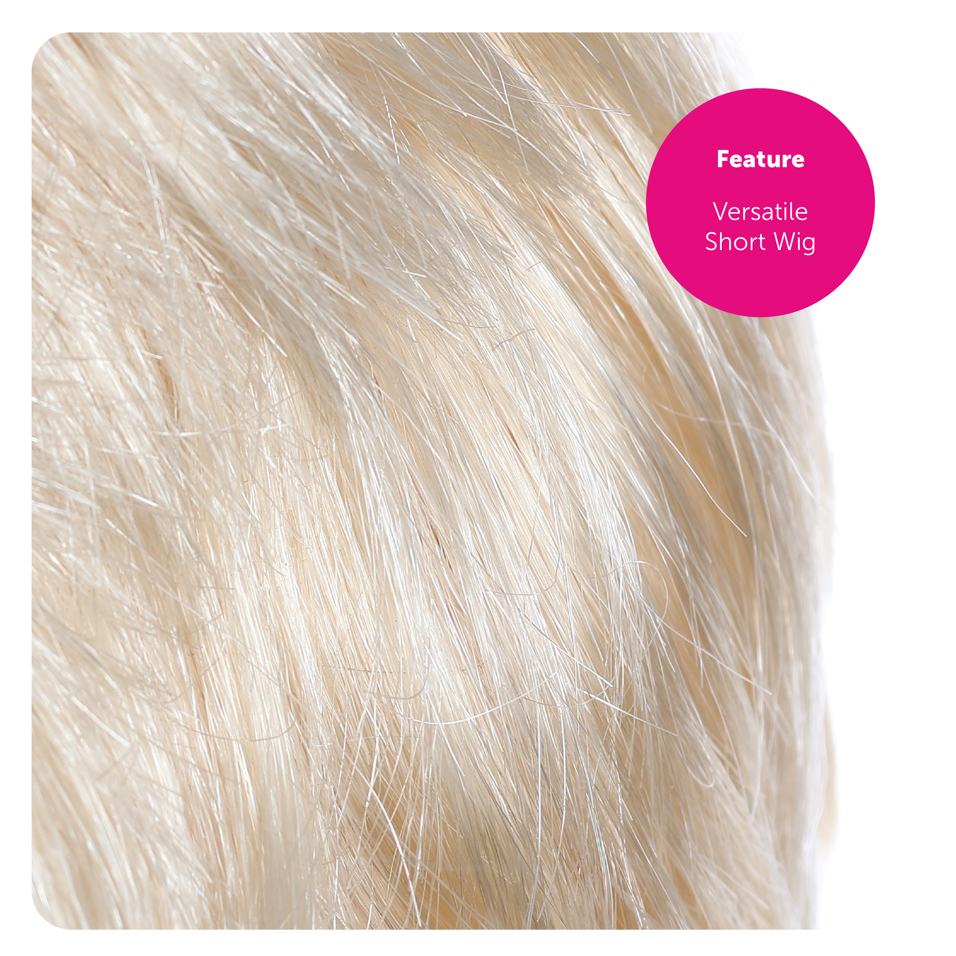 f1f1d8f8-7e87-4429-b9e8-05603bf133e3