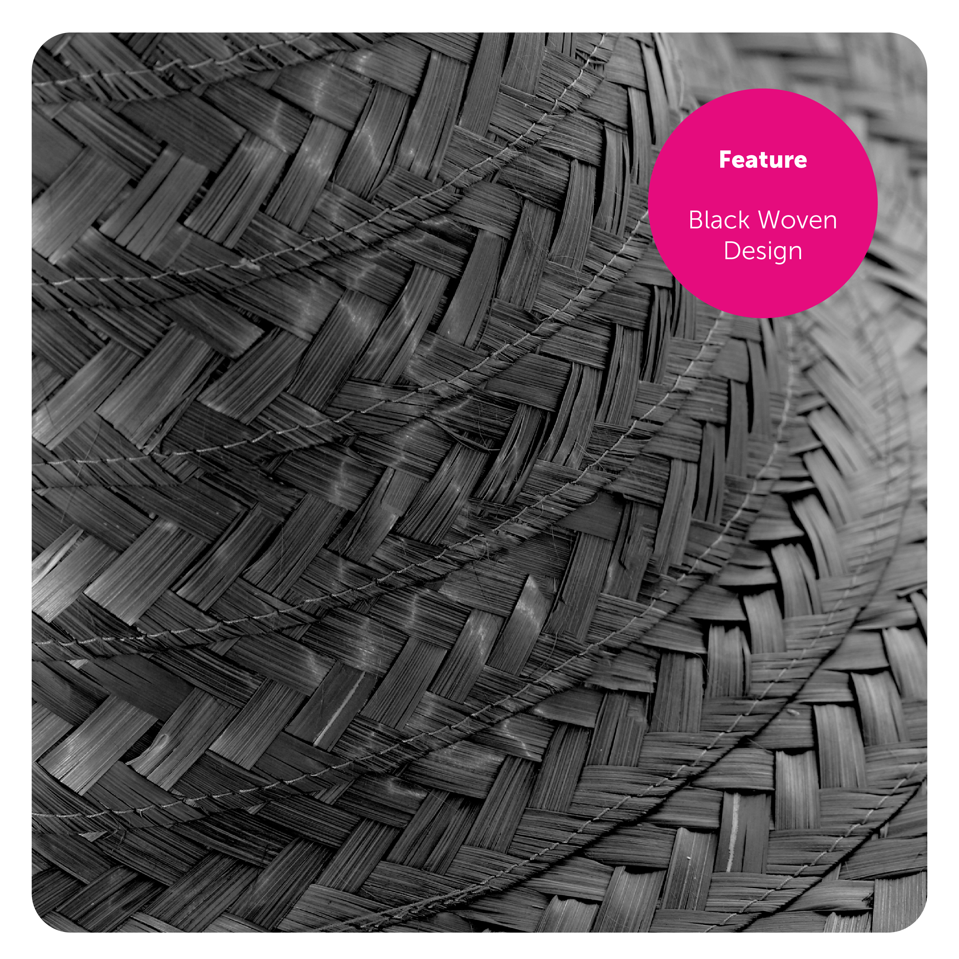 93eedc37-2ca7-4692-a5a3-d9e00f1646de