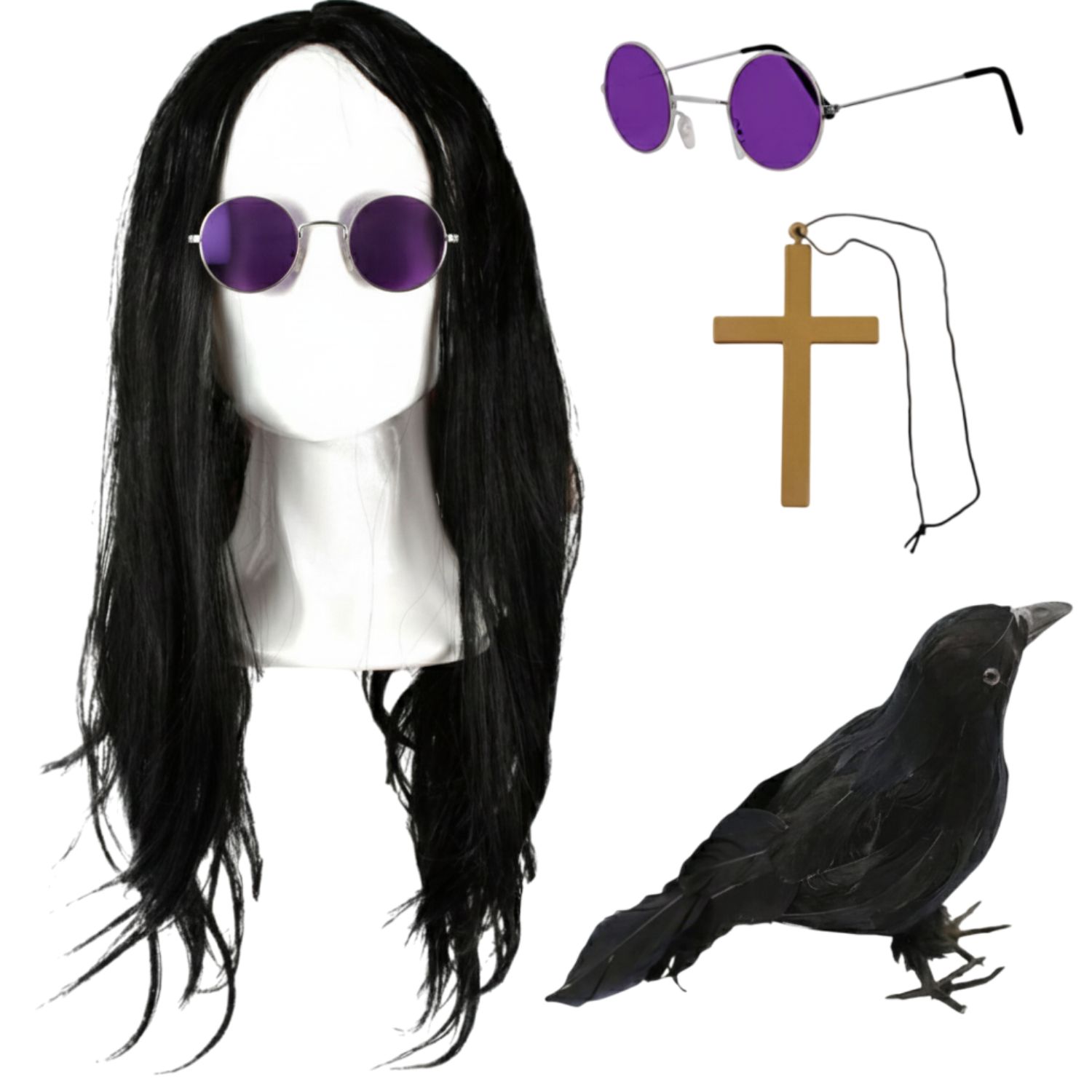 Prince of Darkness Accessory Set | 4 Pcs | Wig, Glasses, Cross Necklace & Crow