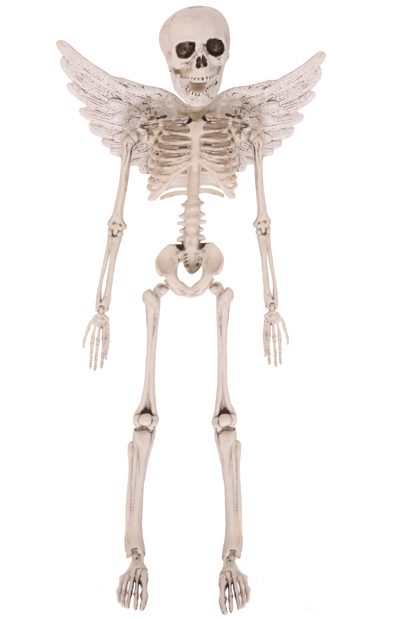ANGEL SKELETON WEBSITE 1