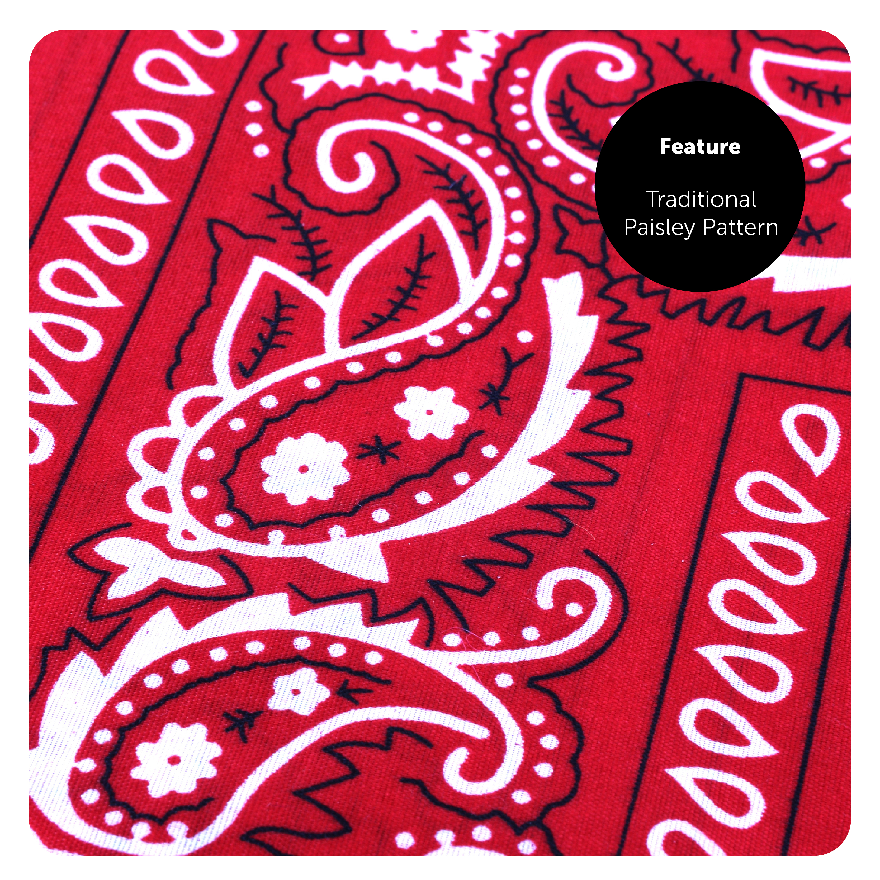 f767c78b-bf88-4f1a-ad19-4596abd48594