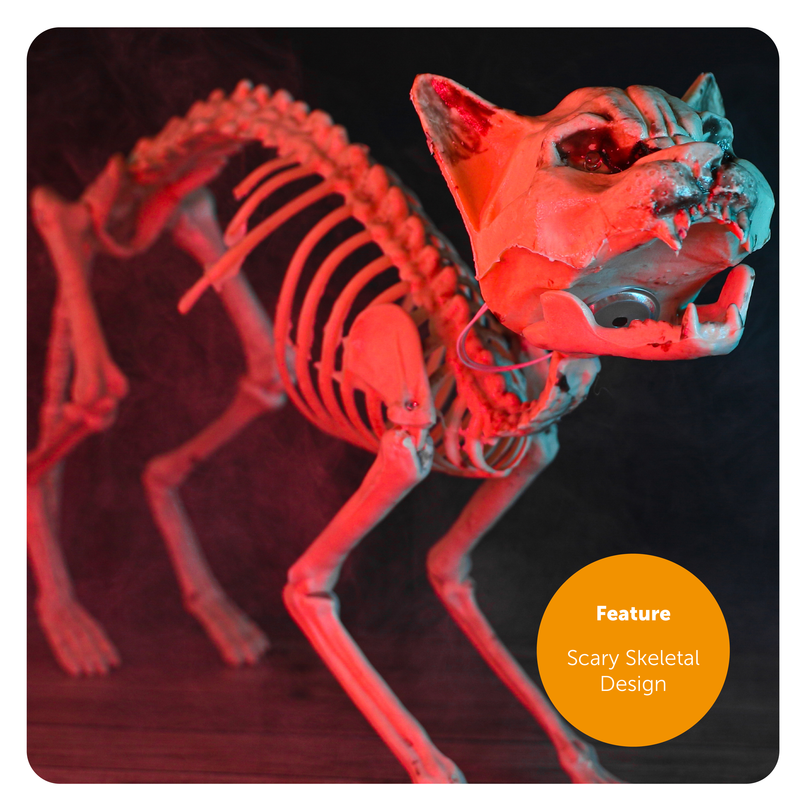 bf31c106-1fe8-4453-a368-e33495ca74aa