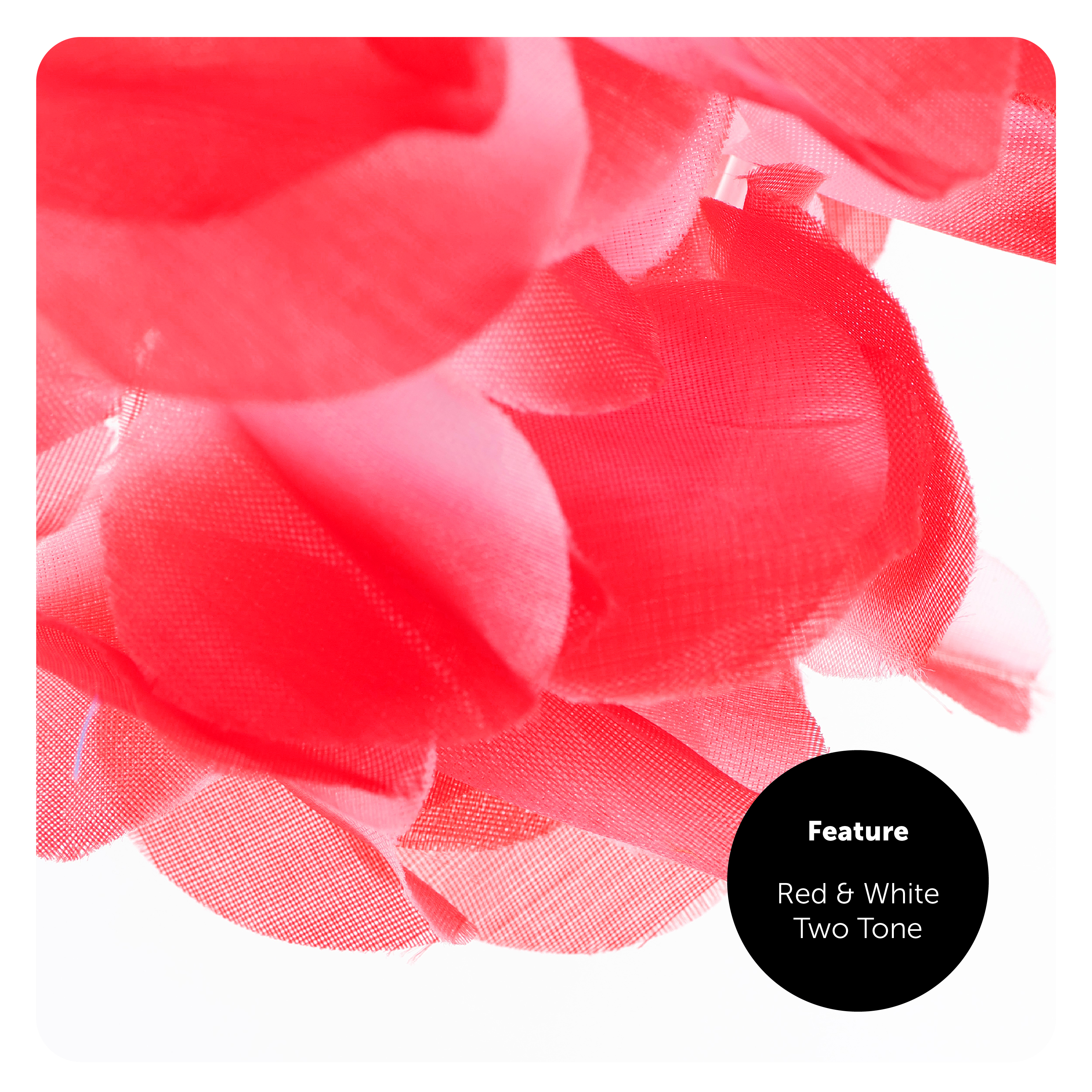 887f9f58-4bf6-44bb-a00b-f2091847cf5a