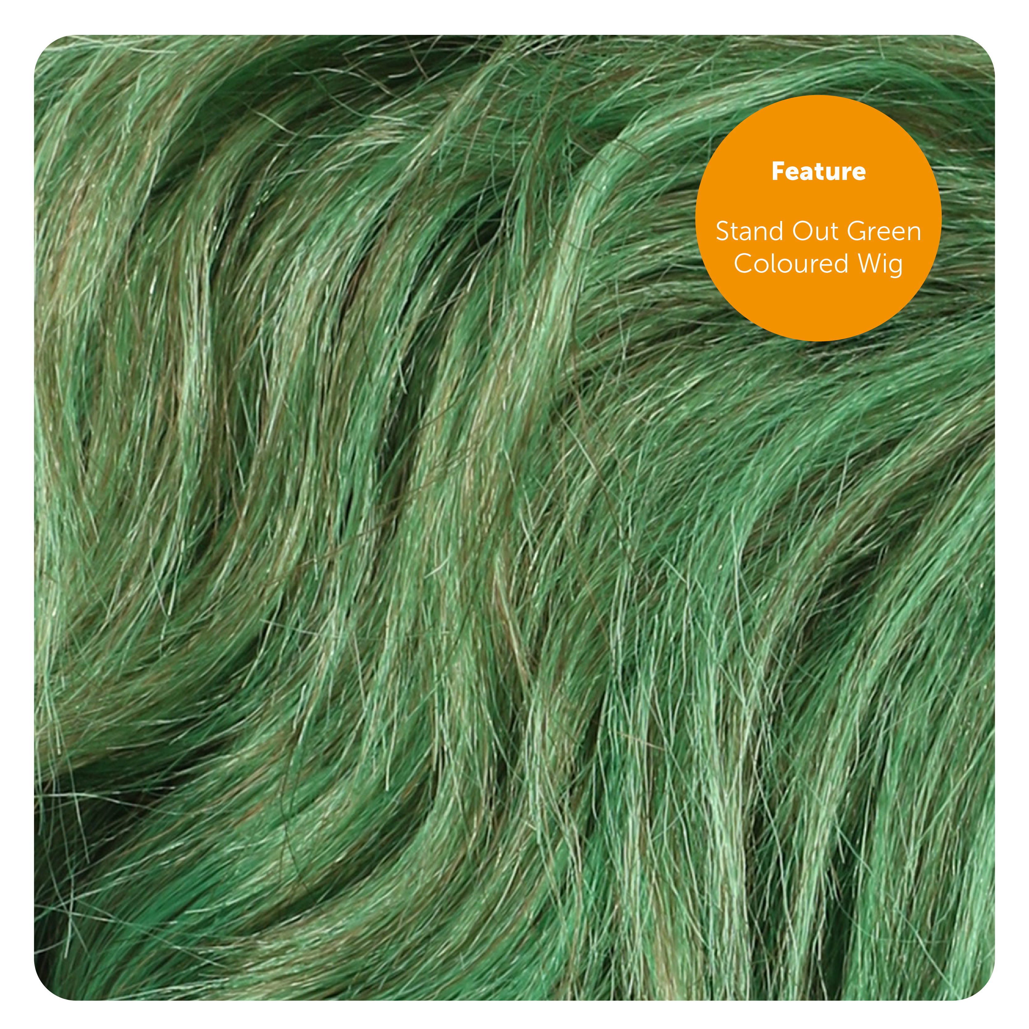 c7f80725-d7fd-4cac-8b70-86b32915ed22 (1)