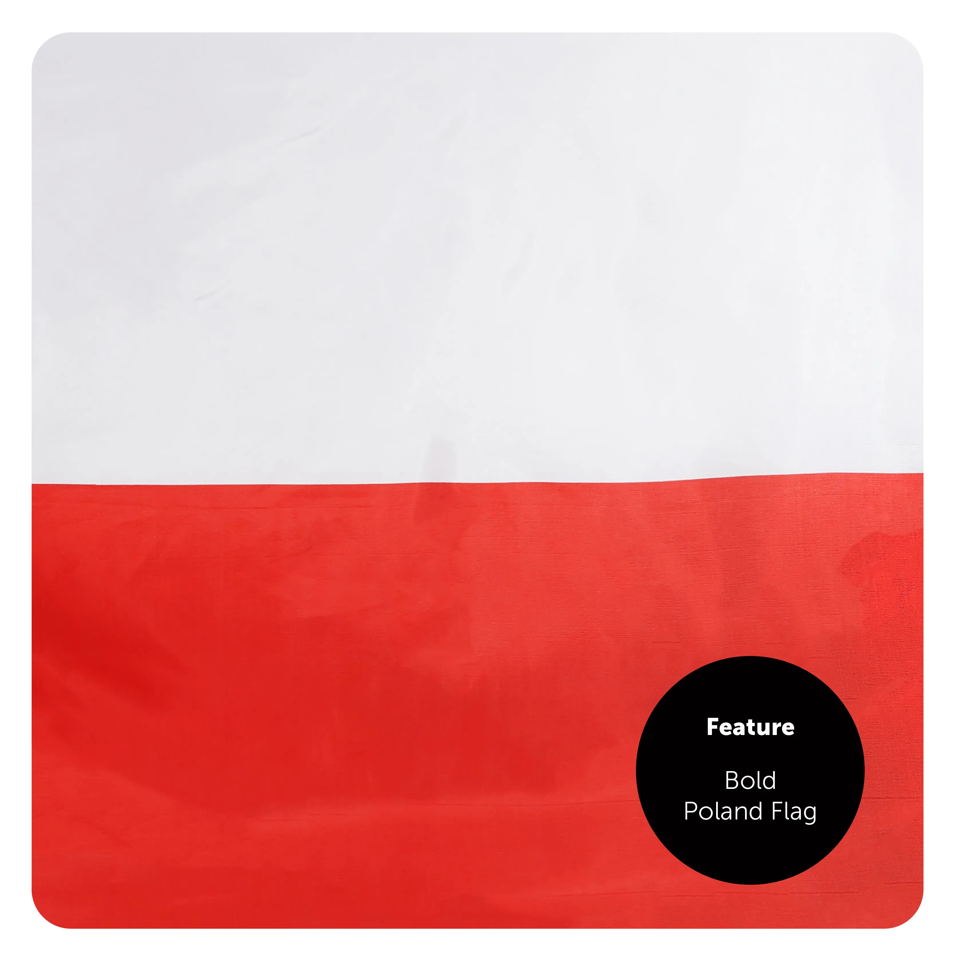 8fa5920f-2425-404f-9547-935f0febe305