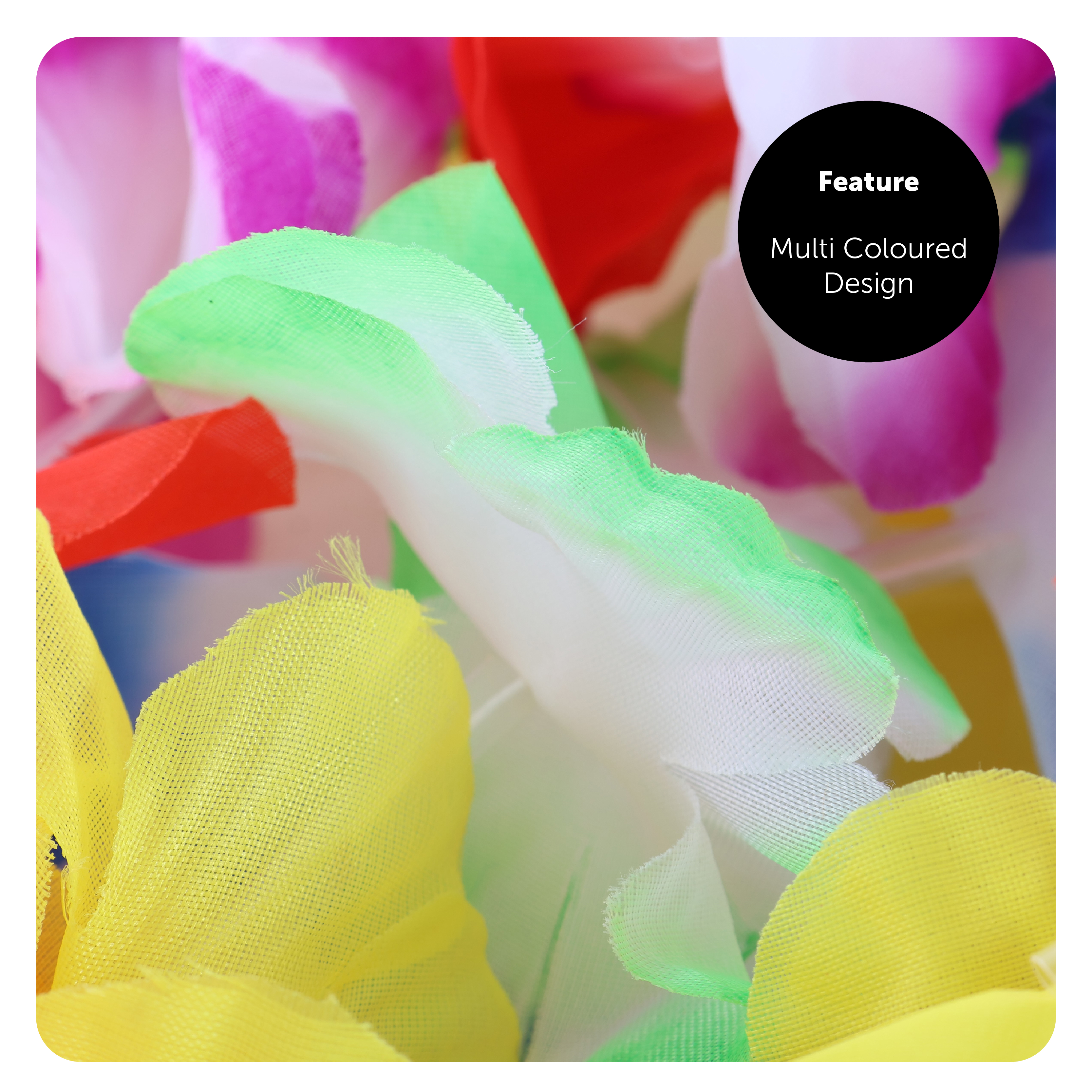 1a877522-800a-4e01-8070-8d0eb4a92fee