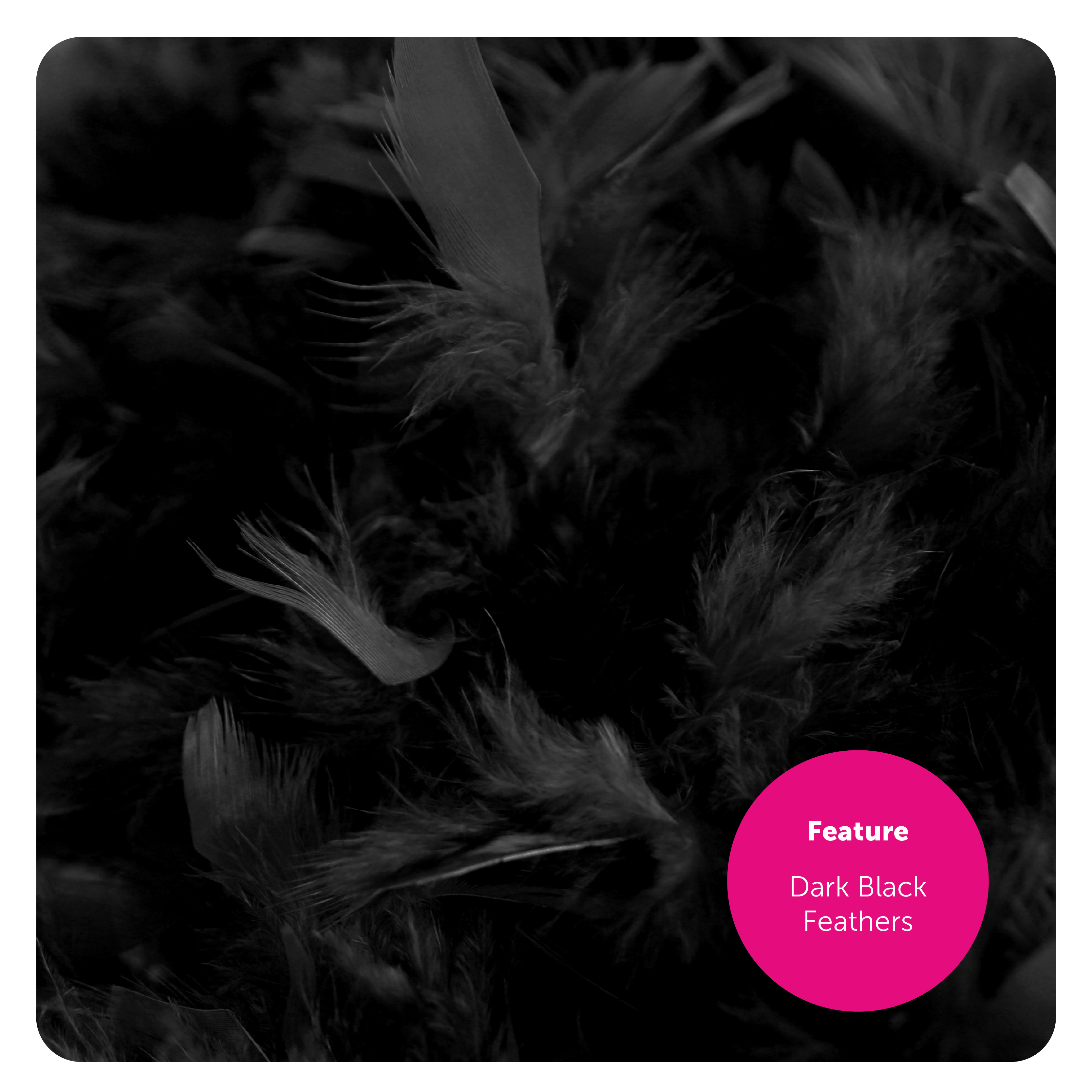 e1e8fdb6-b080-459b-89fe-ae7f880cae95