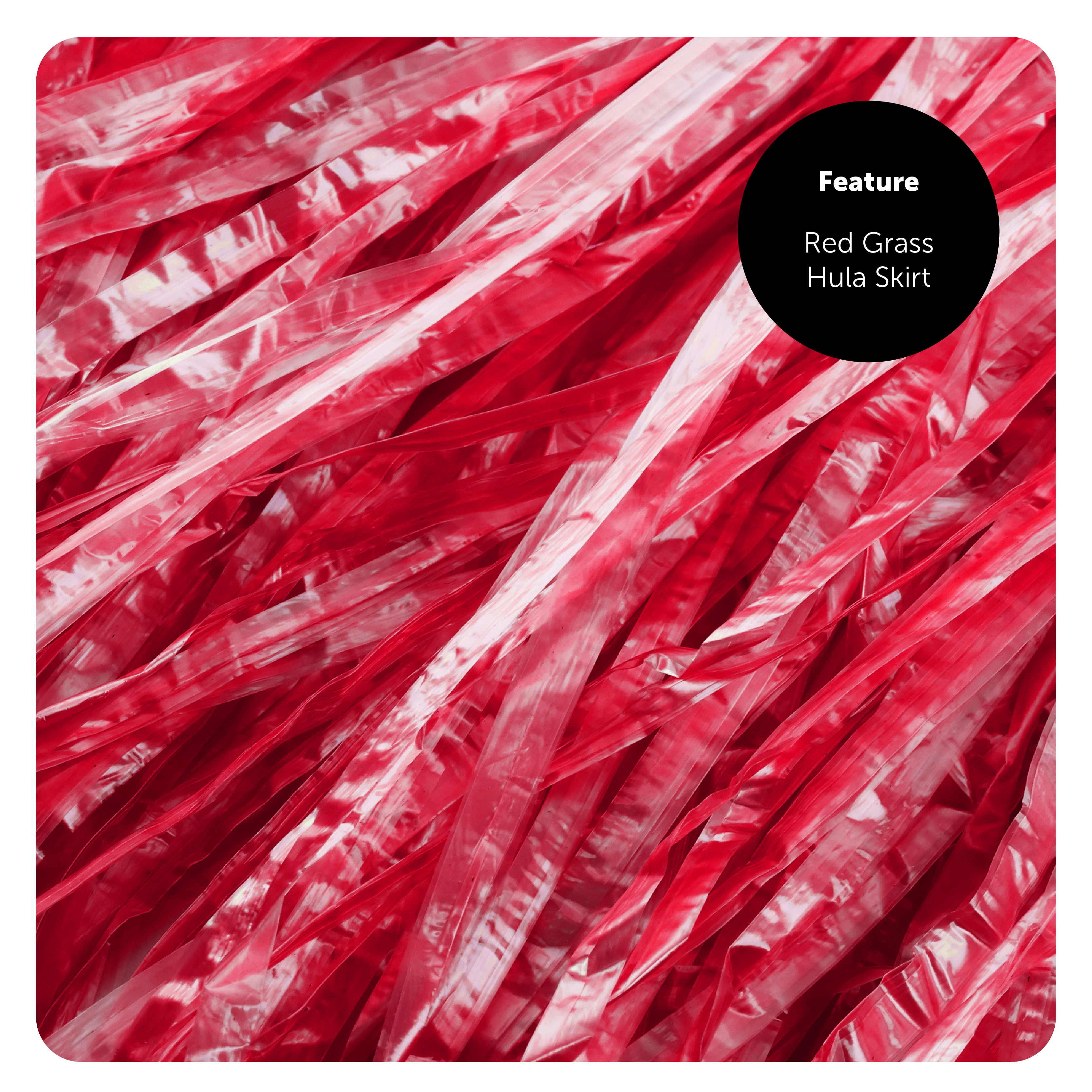 1000dee7-1dbe-4e24-9b9a-00cd2aa2aefc (1)