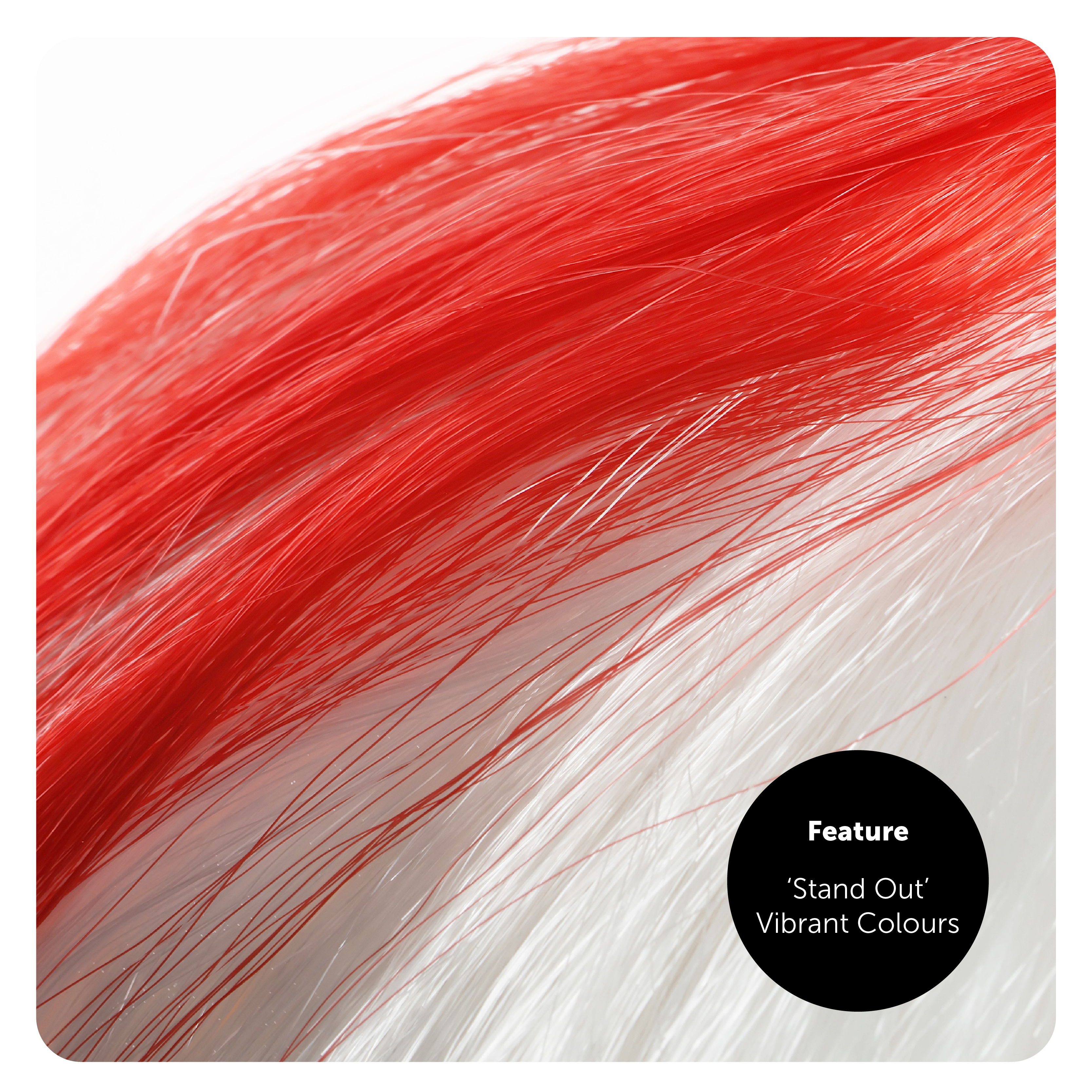 fb8f11d3-81ad-485b-9998-199c47f13f2a (1)