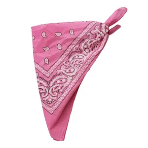 Pink Paisley Bandana