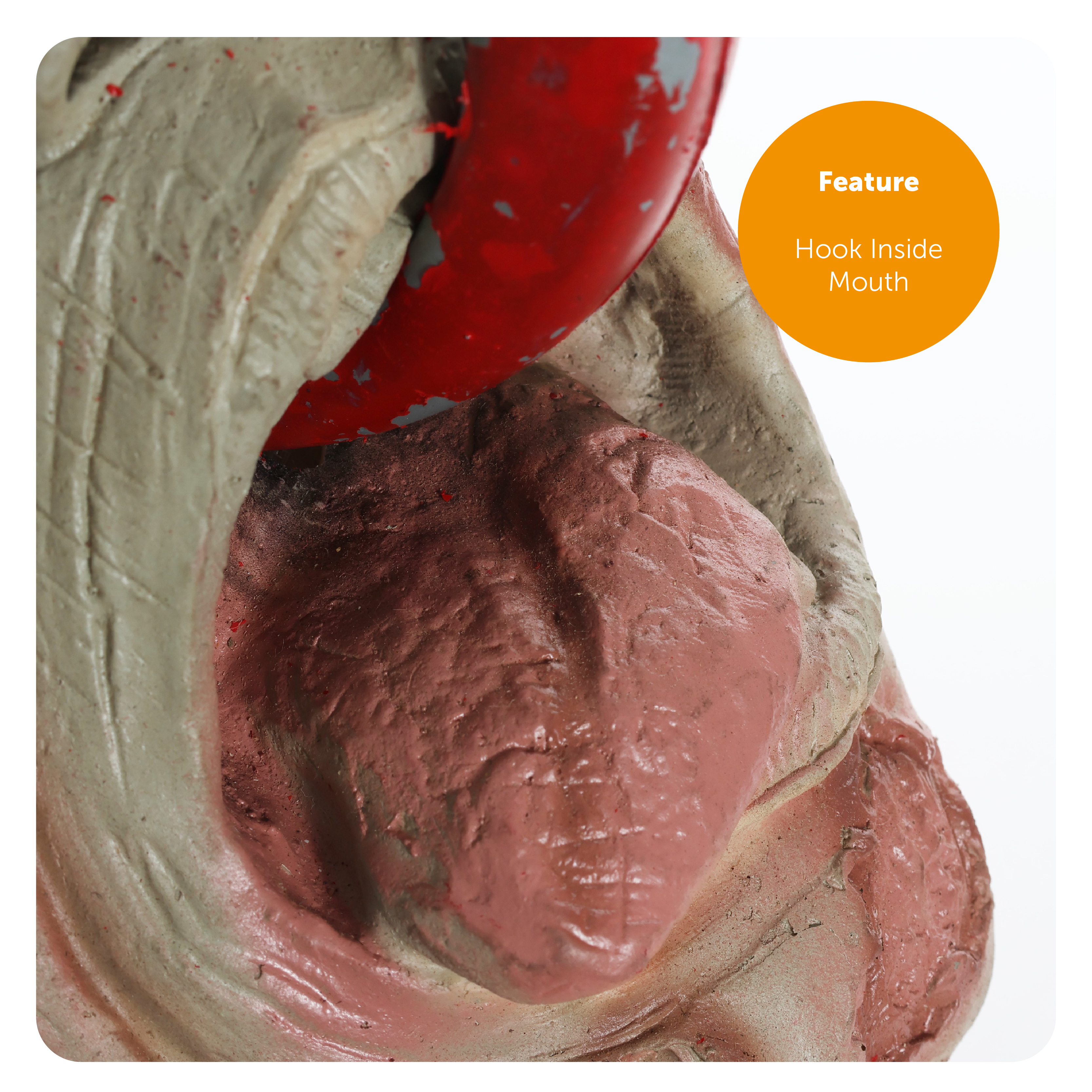 8527f944-fc99-4ae5-aac3-c1535adf1722