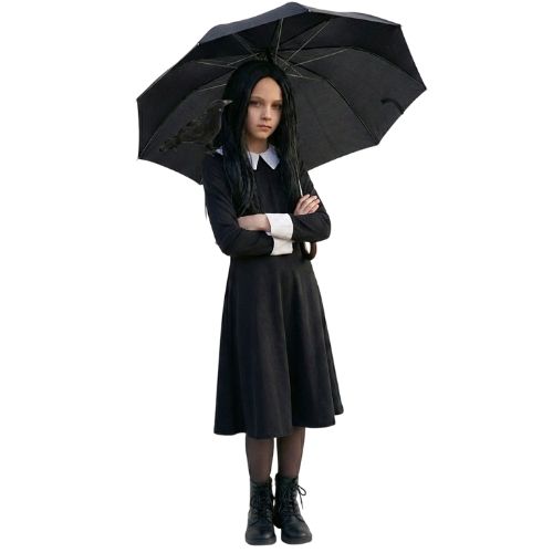 Girls Morrigan Costume | 3 Pcs | Dress, Wig & Crow