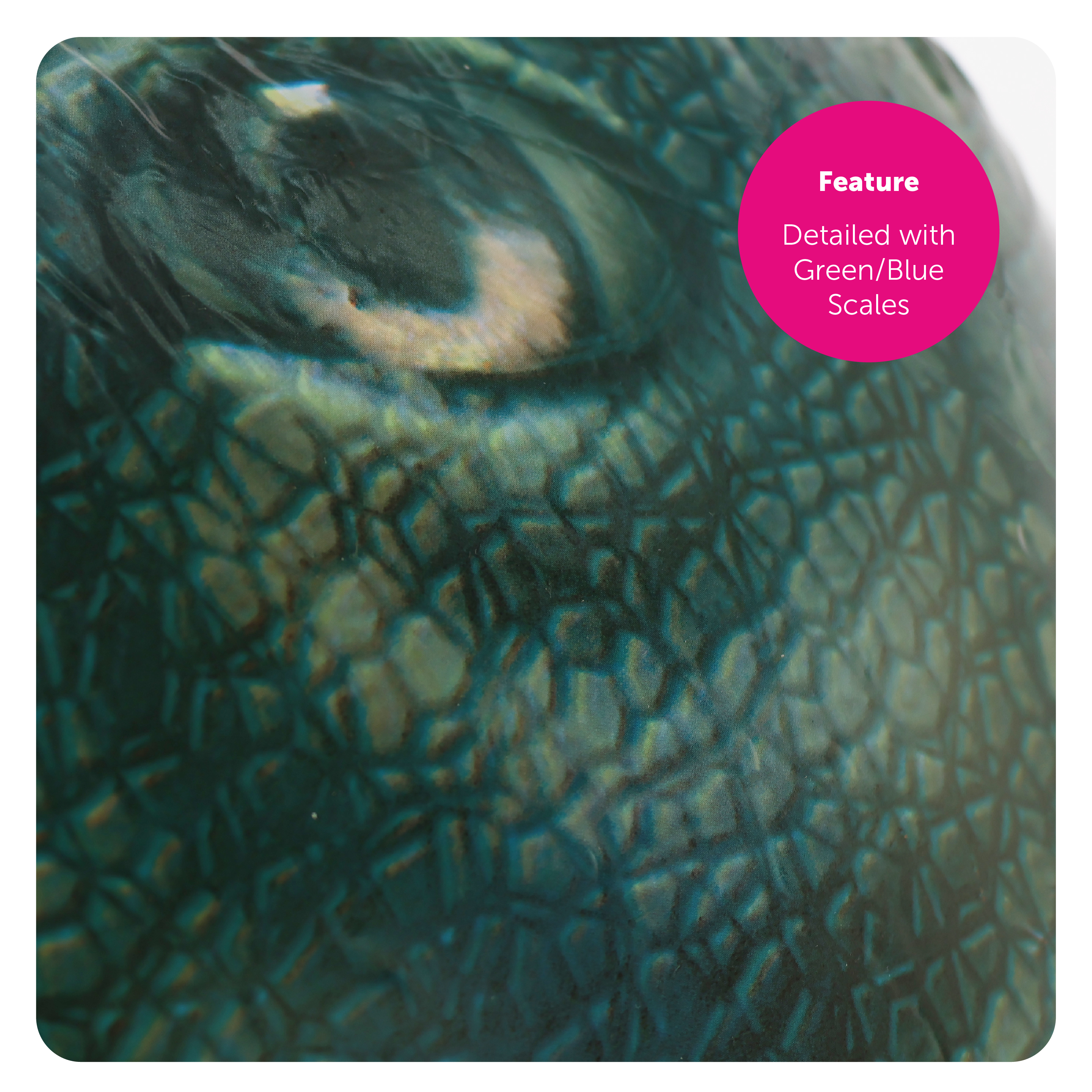 261f79e9-7ddb-4724-be51-1cc5578788fc