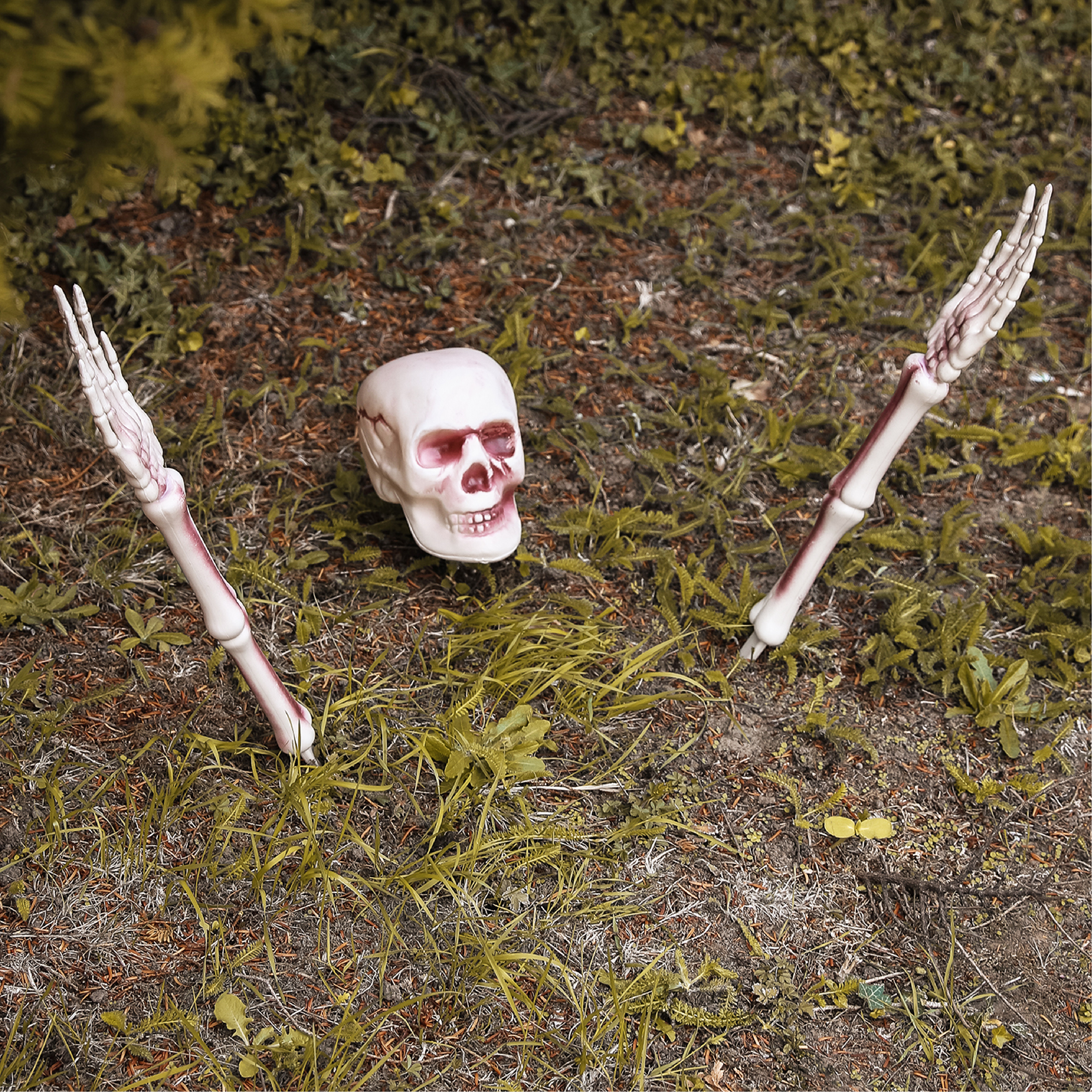 3 Piece Groundbreaking Skeleton Halloween Decoration